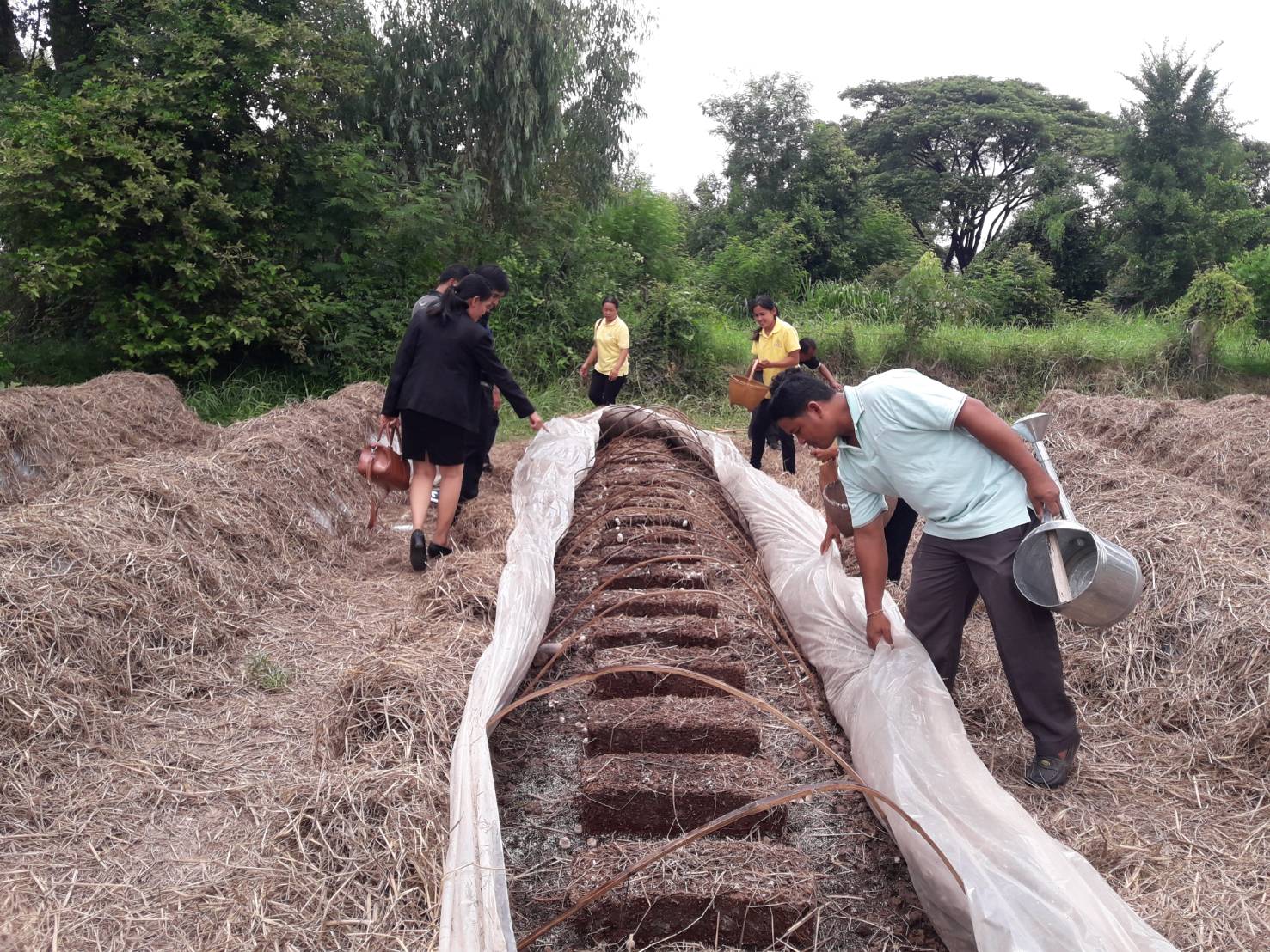 29 พฤษภาคม 2562 สำนักพัฒนาทุนและองค์กรการเงินชุมชน กรมการพัฒนาชุมชน โดยนายสมชาย หริกุลสวัสดิ์ ผู้อำนวยการกลุ่มงานส่งเสริมการพัฒนาชุมชน และนางสาวกชพร มณีฝั้น นักวิชาการพัฒนาชุมชนชำนาญการ ลงพื้นที่หมู่บ้านติดตามสนับสนุนด้านวิชาการและการดำเนินงาน”โครงการพัฒนาอาชีพและคุณภาพชีวิตผู้มีรายได้น้อย เพื่อลดความเหลื่อมล้ำทางสังคม” กลุ่มเพาะเห็ดฟาง บ้านโดน ม.6 ต.แวงดง และกลุ่มทอผ้า บ้านแวงยาง ม.5 ต.ยางสีสุราช อำเภอยางสีสุราช จังหวัดมหาสารคาม
