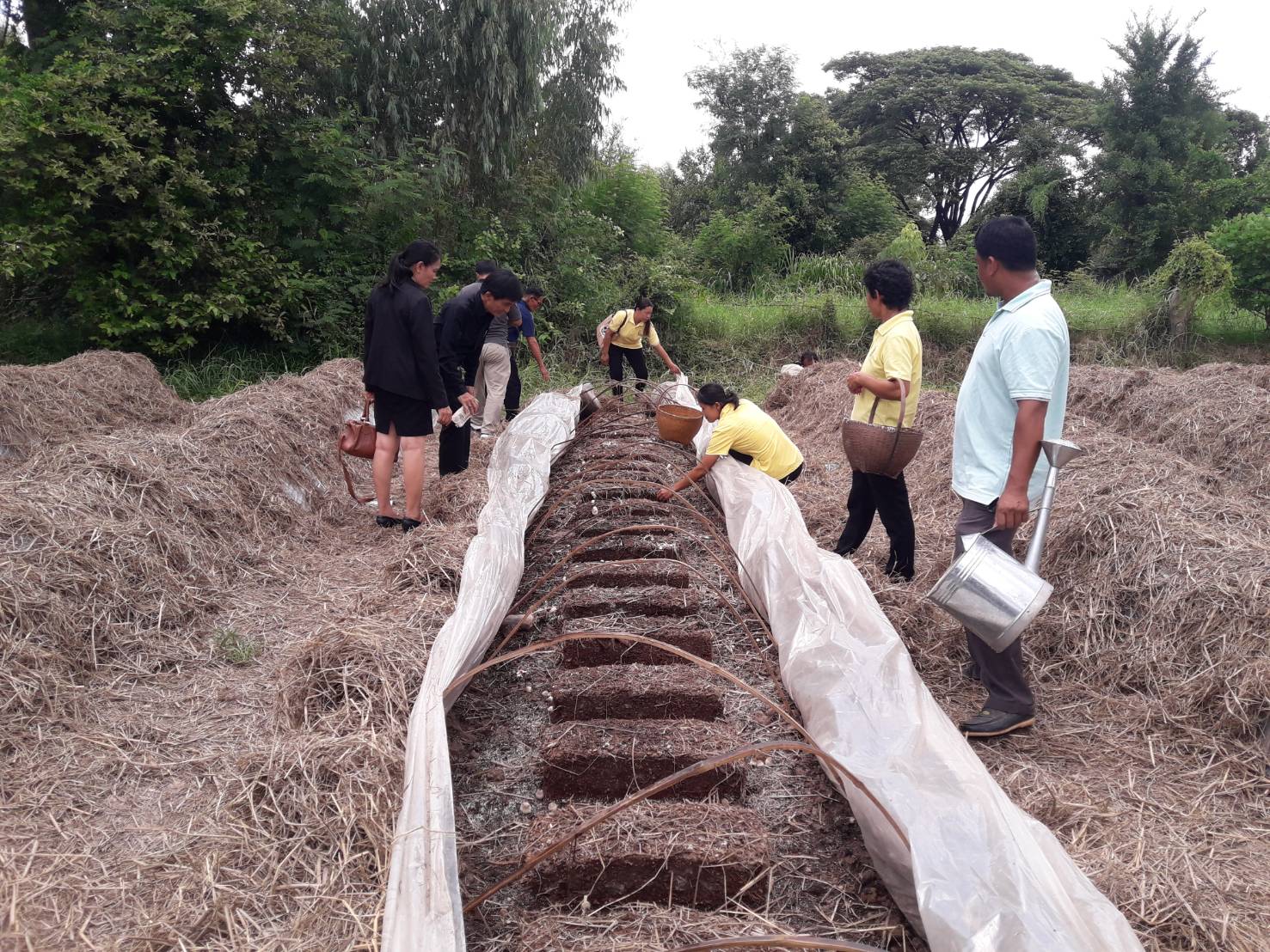 29 พฤษภาคม 2562 สำนักพัฒนาทุนและองค์กรการเงินชุมชน กรมการพัฒนาชุมชน โดยนายสมชาย หริกุลสวัสดิ์ ผู้อำนวยการกลุ่มงานส่งเสริมการพัฒนาชุมชน และนางสาวกชพร มณีฝั้น นักวิชาการพัฒนาชุมชนชำนาญการ ลงพื้นที่หมู่บ้านติดตามสนับสนุนด้านวิชาการและการดำเนินงาน”โครงการพัฒนาอาชีพและคุณภาพชีวิตผู้มีรายได้น้อย เพื่อลดความเหลื่อมล้ำทางสังคม” กลุ่มเพาะเห็ดฟาง บ้านโดน ม.6 ต.แวงดง และกลุ่มทอผ้า บ้านแวงยาง ม.5 ต.ยางสีสุราช อำเภอยางสีสุราช จังหวัดมหาสารคาม