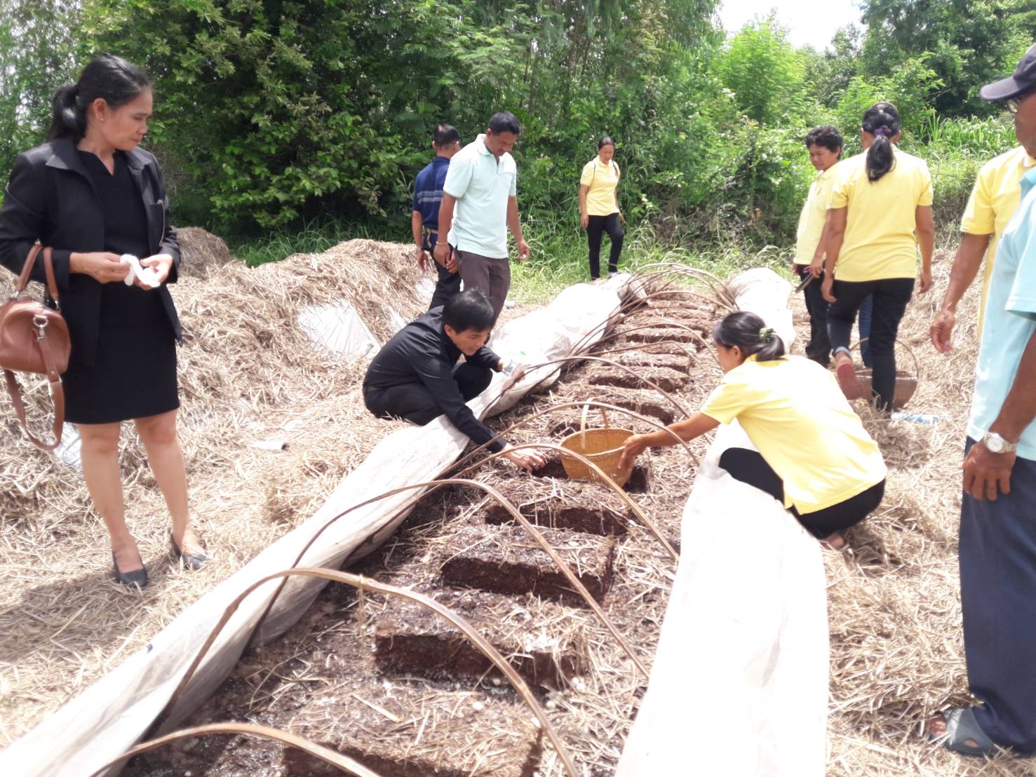 29 พฤษภาคม 2562 สำนักพัฒนาทุนและองค์กรการเงินชุมชน กรมการพัฒนาชุมชน โดยนายสมชาย หริกุลสวัสดิ์ ผู้อำนวยการกลุ่มงานส่งเสริมการพัฒนาชุมชน และนางสาวกชพร มณีฝั้น นักวิชาการพัฒนาชุมชนชำนาญการ ลงพื้นที่หมู่บ้านติดตามสนับสนุนด้านวิชาการและการดำเนินงาน”โครงการพัฒนาอาชีพและคุณภาพชีวิตผู้มีรายได้น้อย เพื่อลดความเหลื่อมล้ำทางสังคม” กลุ่มเพาะเห็ดฟาง บ้านโดน ม.6 ต.แวงดง และกลุ่มทอผ้า บ้านแวงยาง ม.5 ต.ยางสีสุราช อำเภอยางสีสุราช จังหวัดมหาสารคาม