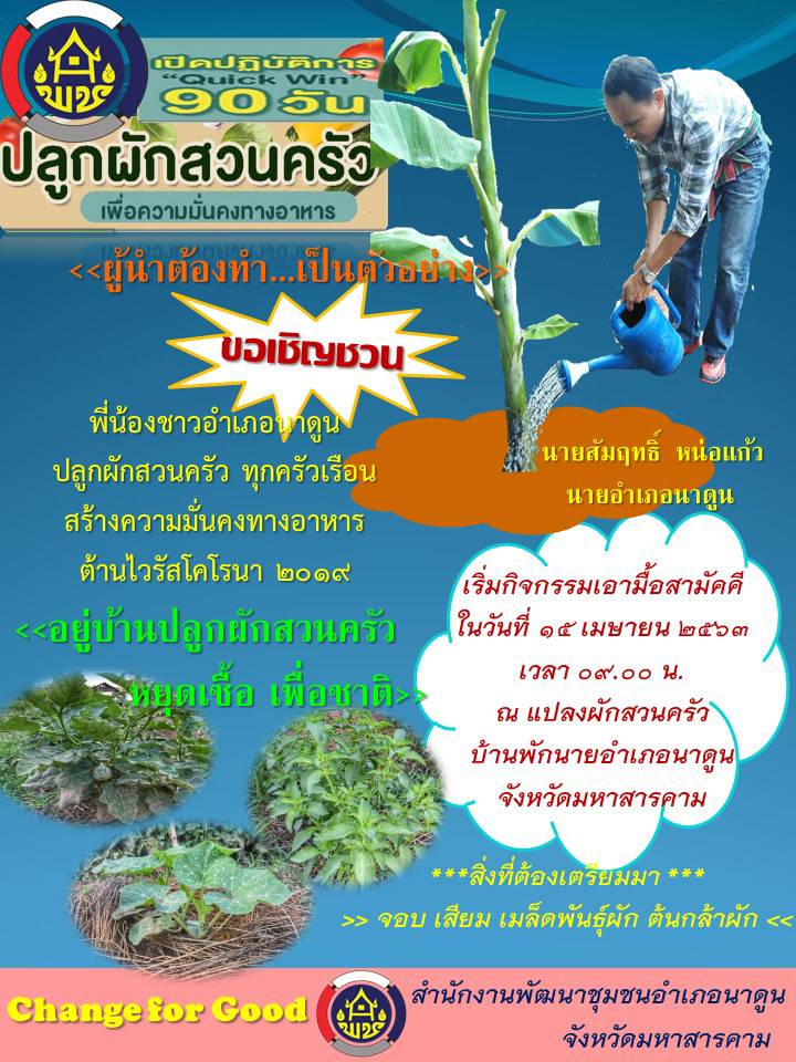 ผู้ว่าราชการจังหวัดมหาสารคาม นำปลูกผักสวนครัวฝ่าวิกฤต COVID-19