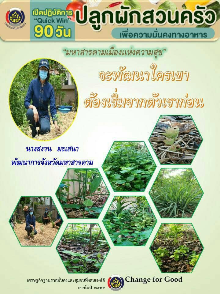 ผู้ว่าราชการจังหวัดมหาสารคาม นำปลูกผักสวนครัวฝ่าวิกฤต COVID-19