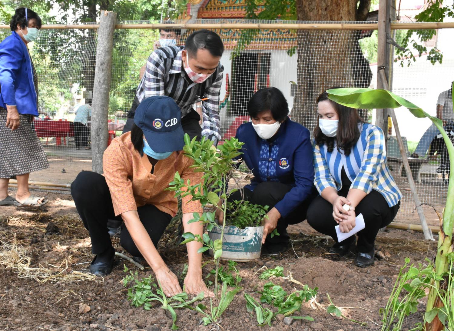29 พฤษภาคม 2563 “เอามื้อสามัคคี” พช.มหาสารคาม ขับเคลื่อนกิจกรรมขยายผลปลูกผักสวนครัวจากวัดสู่ชุมชน ตามหลัก “บวร” วัดต้นแบบระดับจังหวัด ตามแผนปฏิบัติการ “90 วัน ปลูกผักสวนครัว เพื่อสร้างความมั่นคงทางอาหาร” ณ วัดพุทธไชยาราม บ้านเขียบ ม.3 ต.ขามเรียง อ.กันทรวิชัย จ.มหาสารคาม