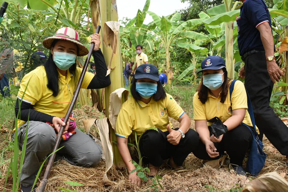 4 พฤษภาคม 2563 เวลา 09.00 น. ▶️พัฒนาชุมชนมหาสารคาม เปิดโครงการปลูกป่าเฉลิมพระเกียรติ เนื่องในโอกาสมหามคลพระราชพิธีบรมราชาภิเษกครบรอบ 1 ปี เพื่อถวายเป็นพระราชกุศล พระบาทสมเด็จพระปรเมนทรรามาธิบดี ศรีสินทรมหาวชิราลงกรณ พระวชิรเกล้าเจ้าอยู่หัว
