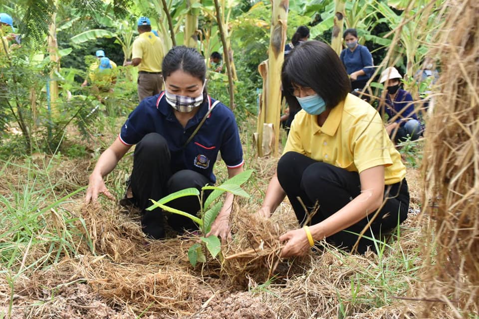 4 พฤษภาคม 2563 เวลา 09.00 น. ▶️พัฒนาชุมชนมหาสารคาม เปิดโครงการปลูกป่าเฉลิมพระเกียรติ เนื่องในโอกาสมหามคลพระราชพิธีบรมราชาภิเษกครบรอบ 1 ปี เพื่อถวายเป็นพระราชกุศล พระบาทสมเด็จพระปรเมนทรรามาธิบดี ศรีสินทรมหาวชิราลงกรณ พระวชิรเกล้าเจ้าอยู่หัว