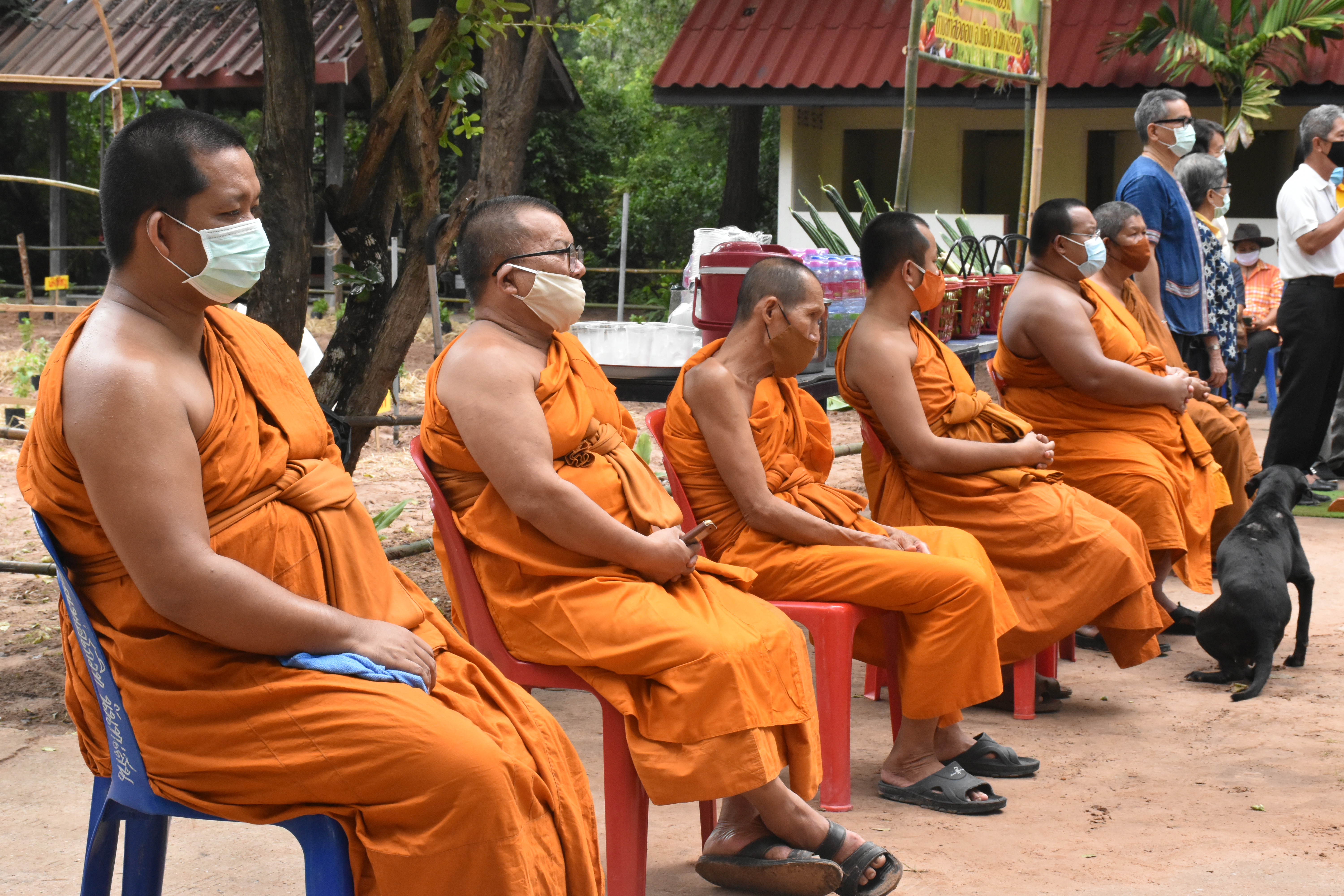 30 พฤษภาคม 2563 เวลา 08.30 น. พช.มหาสารคาม ขับเคลื่อนโครงการน้อมนำแนวพระราชดำริของสมเด็จพระกนิษฐาธิราชเจ้า กรมสมเด็จพระเทพรัตนราชสุดาฯ สยามบรมราชกุมารี สู่แผนปฏิบัติการ 90 วัน ปลูกผักสวนครัว เพื่อสร้างความมั่นคงทางอาหาร ณ บริเวณวัดขุนพรหมดำริ บ้านอุปราช หมู่ที่ 3 ตำบลท่าสองคอน อำเภอเมืองมหาสารคาม จังหวัดมหาสามหาสารคาม