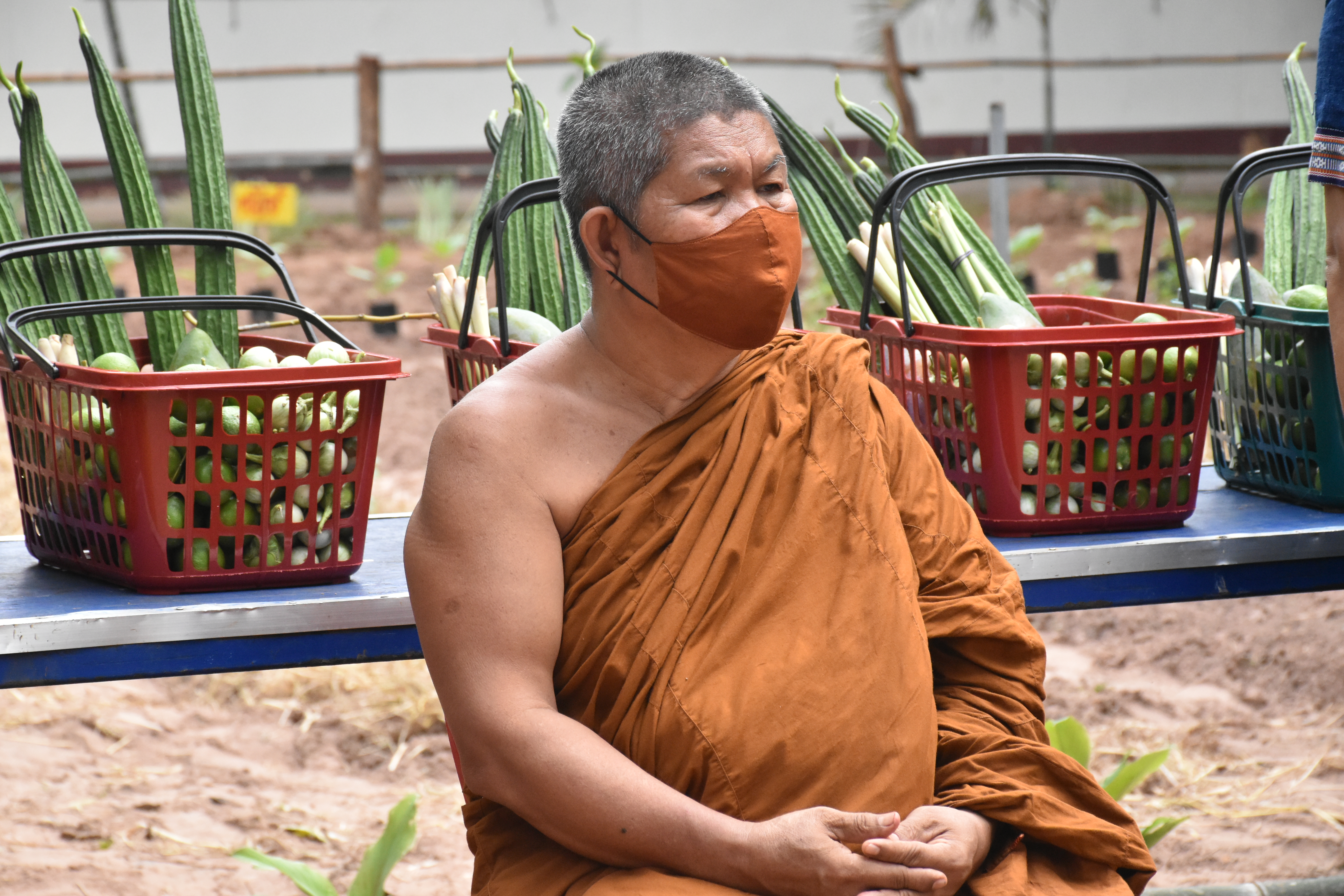 30 พฤษภาคม 2563 เวลา 08.30 น. พช.มหาสารคาม ขับเคลื่อนโครงการน้อมนำแนวพระราชดำริของสมเด็จพระกนิษฐาธิราชเจ้า กรมสมเด็จพระเทพรัตนราชสุดาฯ สยามบรมราชกุมารี สู่แผนปฏิบัติการ 90 วัน ปลูกผักสวนครัว เพื่อสร้างความมั่นคงทางอาหาร ณ บริเวณวัดขุนพรหมดำริ บ้านอุปราช หมู่ที่ 3 ตำบลท่าสองคอน อำเภอเมืองมหาสารคาม จังหวัดมหาสามหาสารคาม