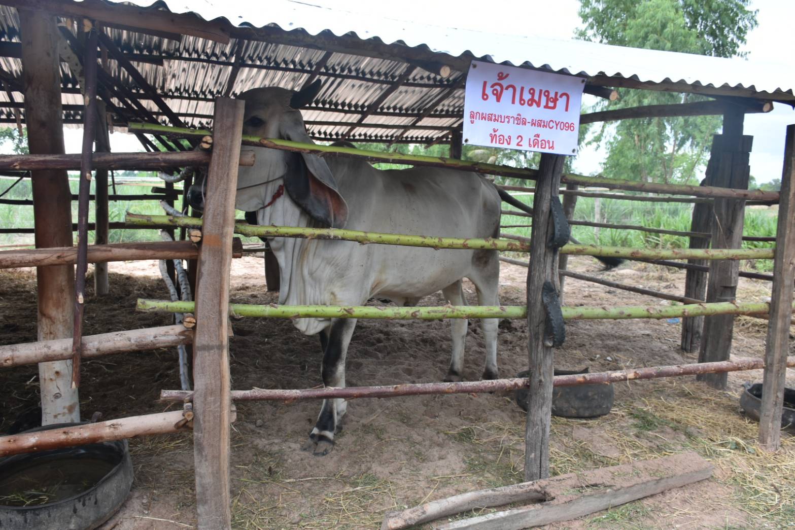 @ มหาสารคามเมืองแห่งความสุข 19 มิถุนายน 2563 เวลา 14.00 น. การคัดสรรหมู่บ้านเศรษฐกิจพอเพียง “อยู่เย็น เป็นสุข” ดีเด่นระดับจังหวัด ประจำปี 2563 จังหวัดมหาสารคาม