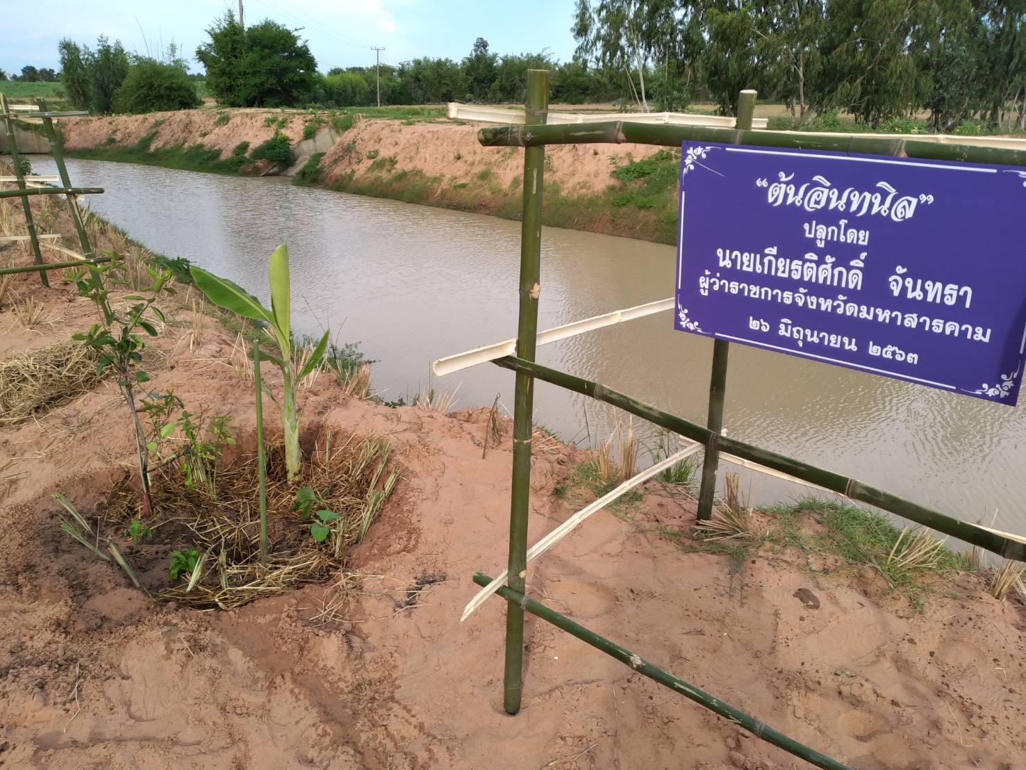 26 มิถุนายน 2563 พช.มค. ร่วมกับอำเภอโกสุมพิสัย และองค์การบริหารส่วนตำบลดอนกลาง อำเภอโกสุมพิสัย จังหวัดมหาสารคาม ดำเนินโครงการรวมพลังสตรีอาสาพัฒนา ปลูกป่าเฉลิมพระเกียรติ เนื่องในโอกาสวันเฉลิมพระชนมพรรษา สมเด็จพระนางเจ้าสุทิดา พัชรสุธาพิมลลักษณ พระบรมราชินี