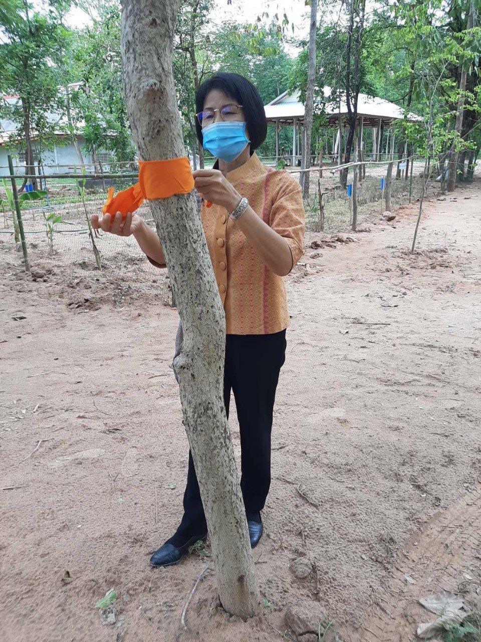 ๑๗ มิถุนายน ๒๕๖๓ เวลา ๐๙.๐๐ น. @ มหาสารคามเมืองแห่งความสุข พช. มหาสารคาม ดำเนินกิจกรรม “คัดสรรหมู่บ้านเศรษฐกิจพอเพียง “อยู่เย็น เป็นสุข” ระดับจังหวัด ปี ๒๕๖๓