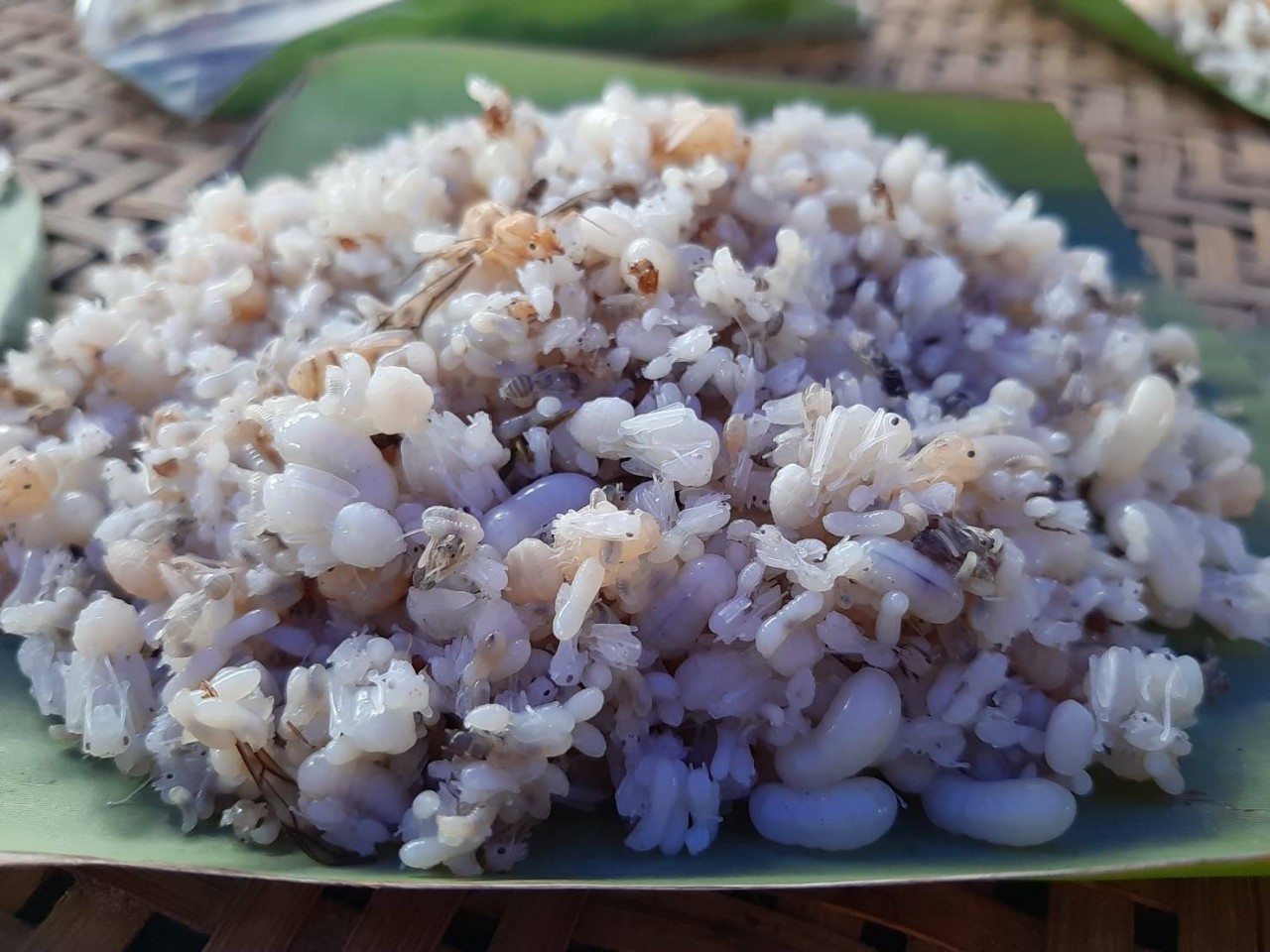 @ มหาสารคามเมืองแห่งความสุข ๑๗ มิถุนายน ๒๕๖๓ เวลา ๑๓.๐๐ น. พช. มหาสารคาม ดำเนินกิจกรรม “คัดสรรหมู่บ้านเศรษฐกิจพอเพียง “อยู่เย็น เป็นสุข” ระดับจังหวัด ปี ๒๕๖๓
