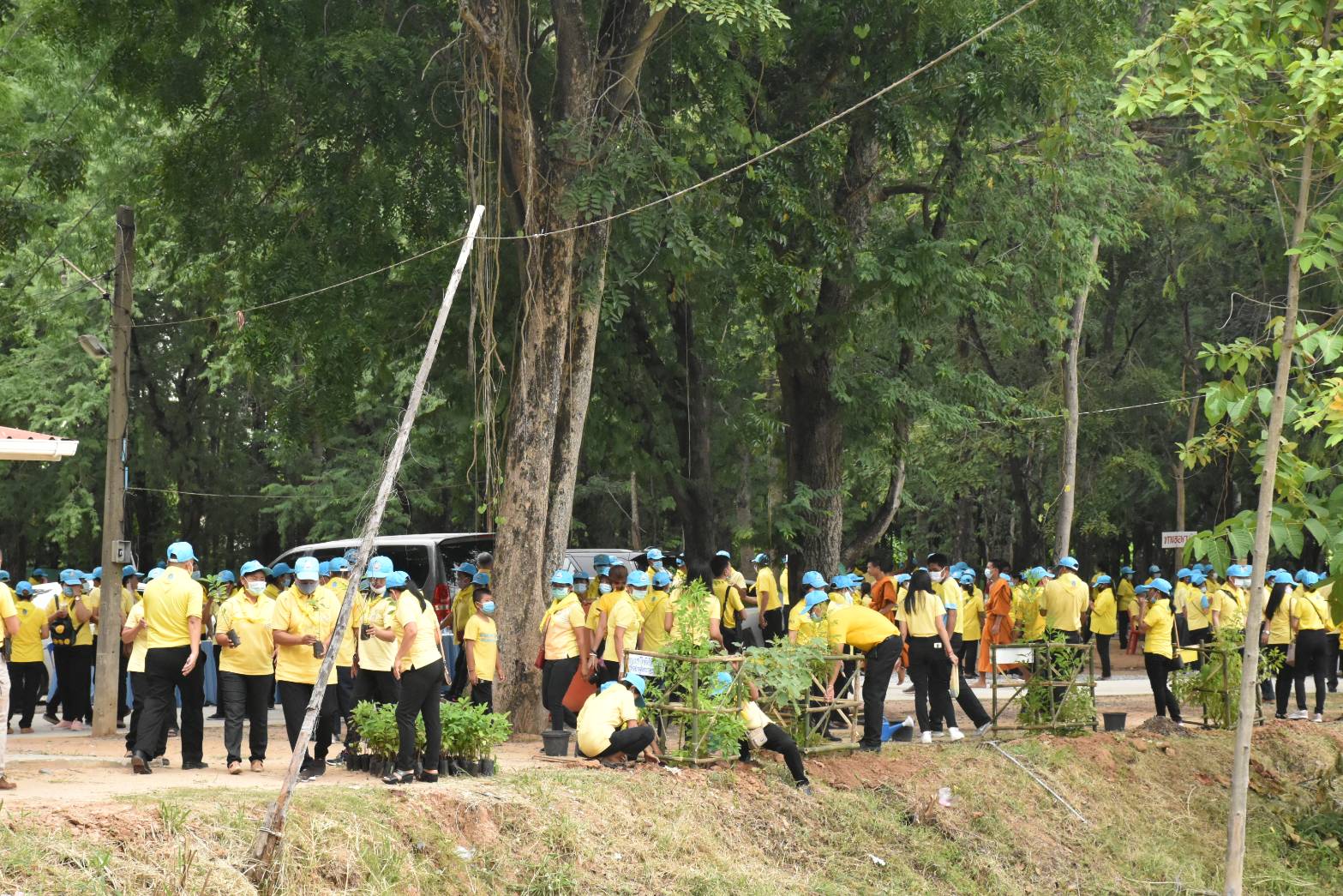 พช.มหาสารคาม : ร่วมกิจกรรมเฉลิมพระเกียรติเนื่องในโอกาสวันเฉลิมพระชนมพรรษาพระบาทสมเด็จพระเจ้าอยู่หัว 28 กรกฎาคม 2563
