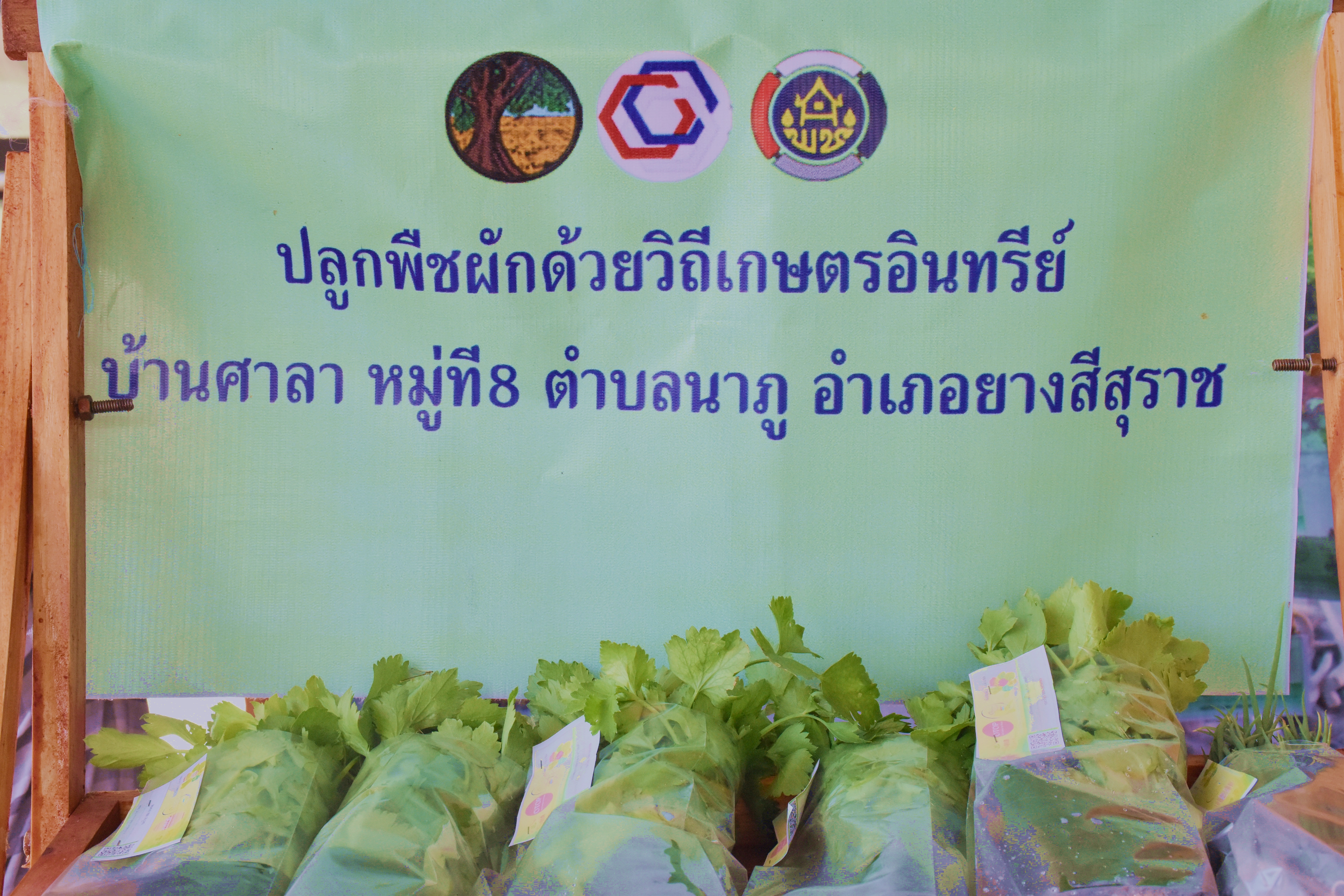 พช.มหาสารคาม หนุนเครือข่ายอาหารปลอดภัยโดยกลไกประชารัฐ จัดกระเช้าของขวัญปีใหม่จำหน่ายกระจายรายได้สู่ชุมชน