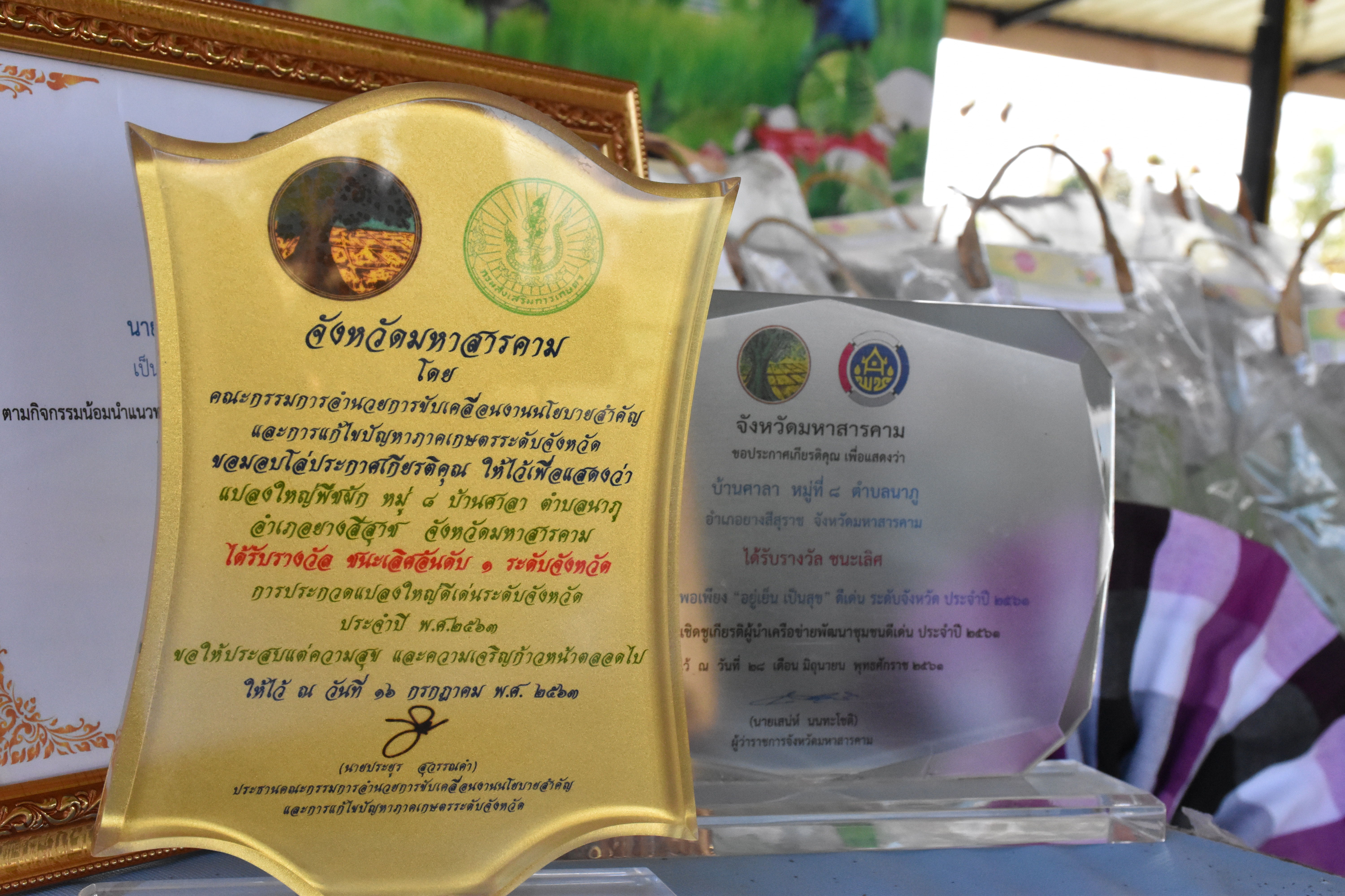 พช.มหาสารคาม หนุนเครือข่ายอาหารปลอดภัยโดยกลไกประชารัฐ จัดกระเช้าของขวัญปีใหม่จำหน่ายกระจายรายได้สู่ชุมชน