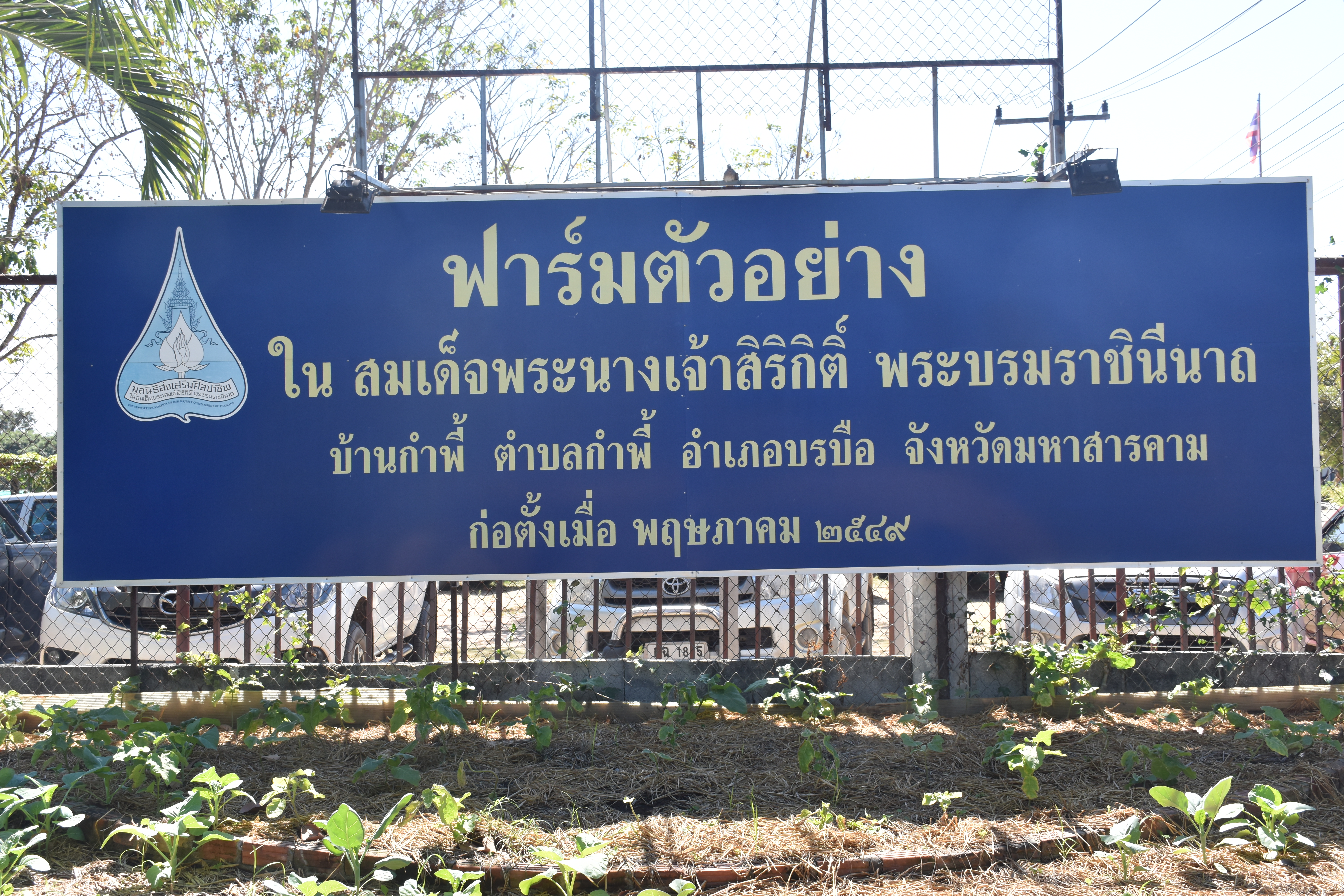 จังหวัดมหาสารคาม เดินหน้าจัดกิจกรรม “โคก หนอง นา โมเดล” มุ่งสร้างความมั่นคงทางด้านอาหาร เสริมภูมิคุ้มกันชีวิต ฝ่าวิกฤต COVID-19