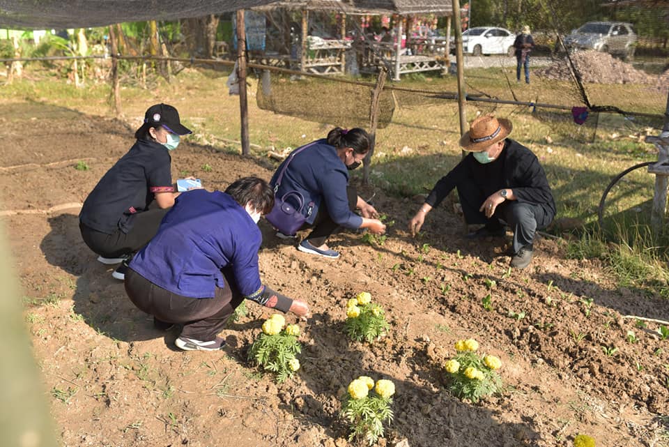 พช.มหาสารคาม ผนึกกำลังกลุ่มองค์กรสตรี ผู้นำชุมชน รับมือภัย COVID-19 จัดกิจกรรม Kick off ปฏิบัติการปลูกผักสวนครัวเพื่อสร้างความมั่นคงทางอาหาร ระยะ 2