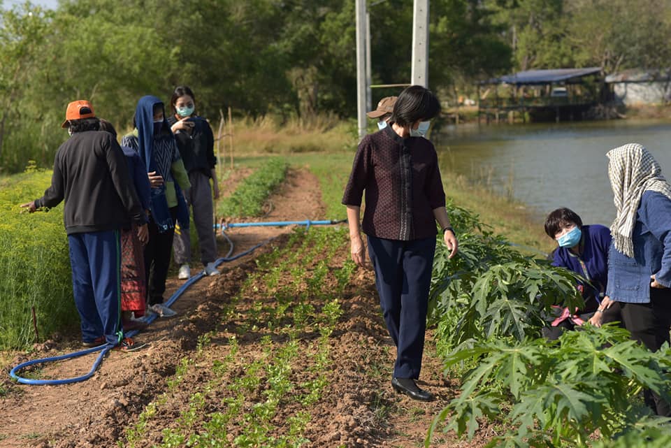 พช.มหาสารคาม ผนึกกำลังกลุ่มองค์กรสตรี ผู้นำชุมชน รับมือภัย COVID-19 จัดกิจกรรม Kick off ปฏิบัติการปลูกผักสวนครัวเพื่อสร้างความมั่นคงทางอาหาร ระยะ 2