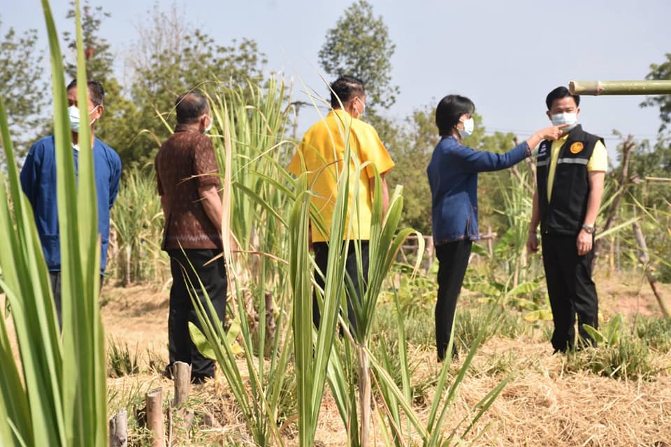 ผู้ว่าราชการจังหวัดมหาสารคาม เปิดกิจกรรมฝึกอบรมเพิ่มทักษะระยะสั้นการพัฒนากสิกรรมสู่ระบบเศรษฐกิจพอเพียง รูปแบบ โคก หนอง นา โมเดล รุ่นที่ 6
