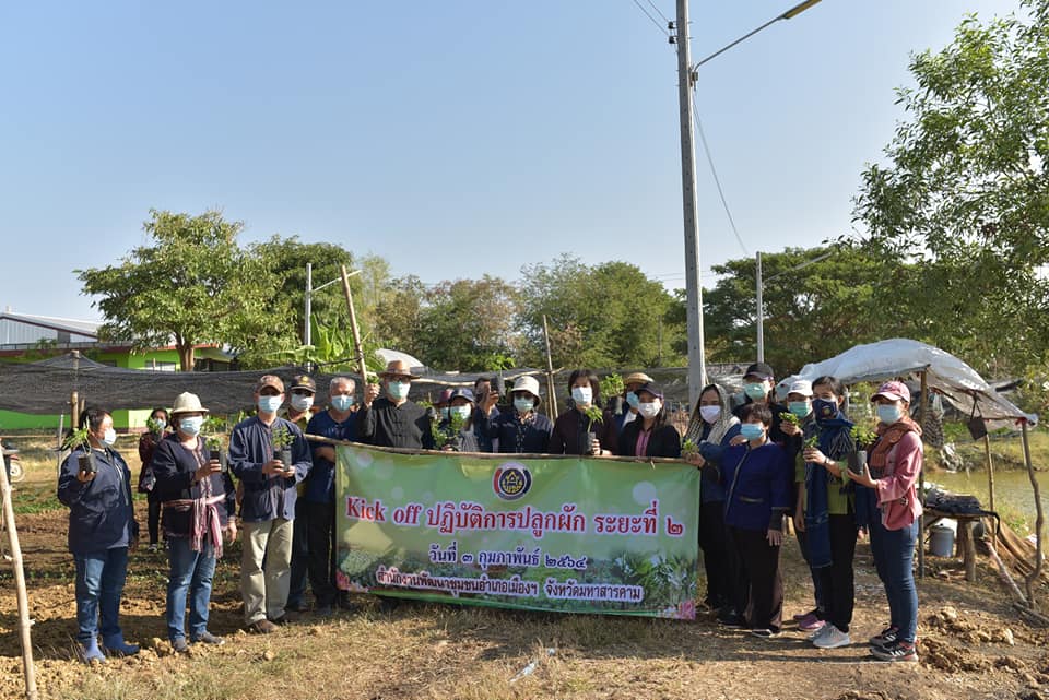พช.มหาสารคาม ผนึกกำลังกลุ่มองค์กรสตรี ผู้นำชุมชน รับมือภัย COVID-19 จัดกิจกรรม Kick off ปฏิบัติการปลูกผักสวนครัวเพื่อสร้างความมั่นคงทางอาหาร ระยะ 2