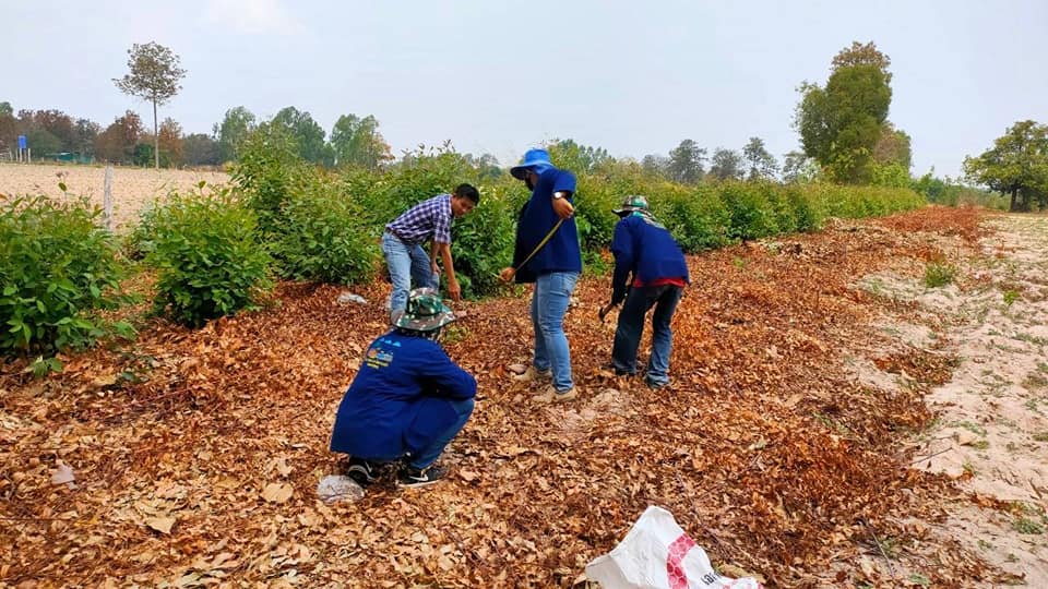 ทีม​ สพอ.แกดำ​ ผนึกกำลังภาคีเครือข่าย​ ลงพื้นที่แปลงครัวเรือนต้นแบบ​ เดินหน้าปรับรูปแบบแปลงตามแบบมาตรฐาน โคก หนอง นา โมเดล