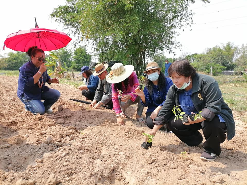 พช มหาสารคาม จัดกิจกรรมทดสอบโปรแกรมการท่องเที่ยวเชิงสร้างสรรค์ มุ่งชุบชีวิตท่องเที่ยวชุมชนให้ยั่งยืน