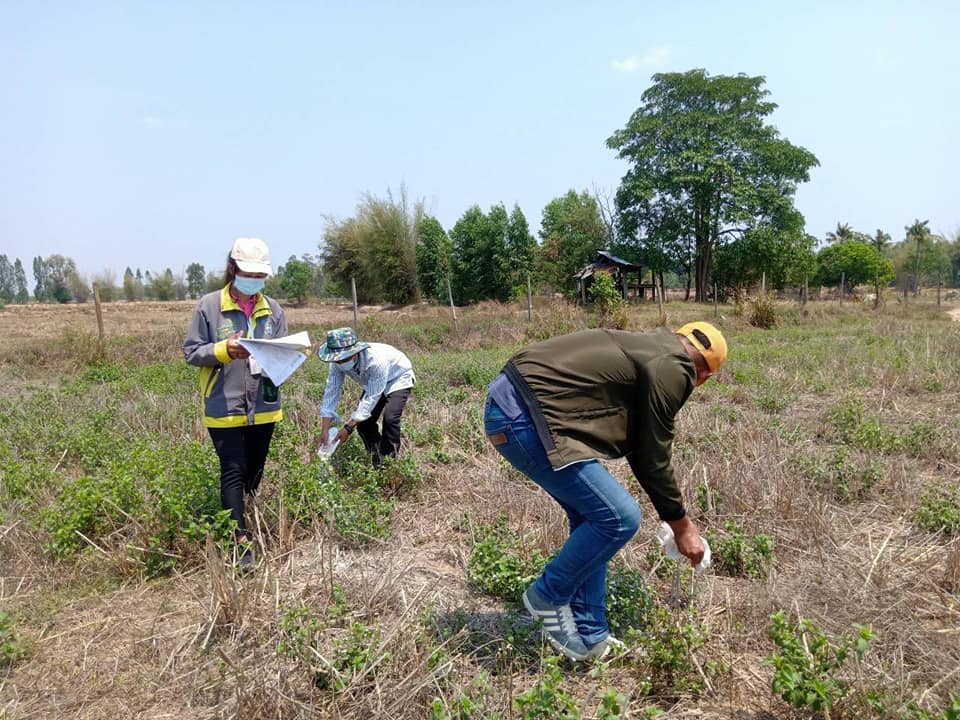 ทีม​ โคก​ หนอง​ นา​ อำเภอนาเชือก​ ลงพื้นที่รังวัดแบบแปลน