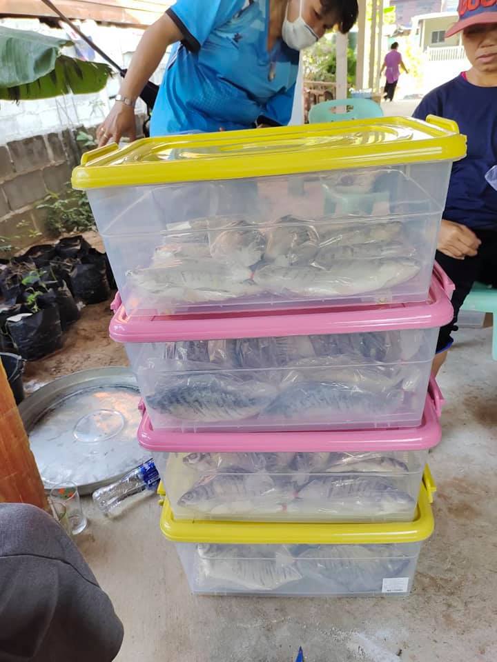 ทีม​ สพอ.เมืองมหาสารคาม​ลุยงานสัมมาชีพชุมชน​ ฝึกอาชีพครัวเรือนเป้าหมาย​ มุ่งสร้างอาชีพเสริมรายได้