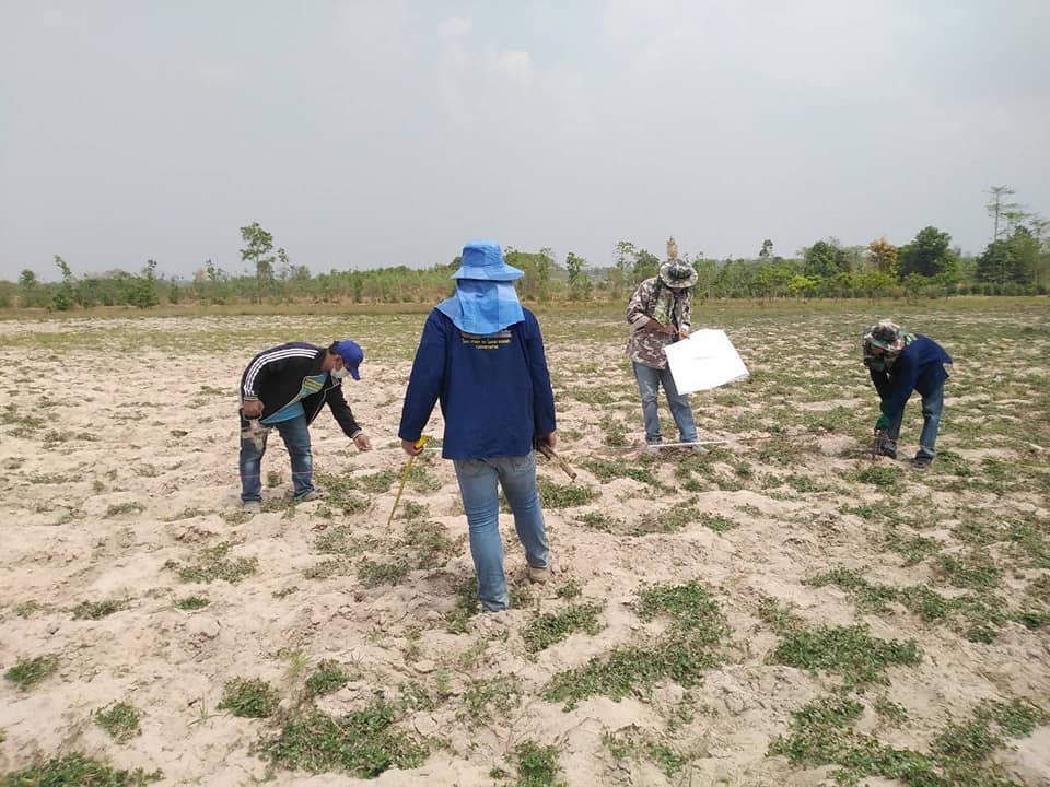 ทีม​ สพอ.แกดำ​ ผนึกกำลังภาคีเครือข่าย​ ลงพื้นที่แปลงครัวเรือนต้นแบบ​ เดินหน้าปรับรูปแบบแปลงตามแบบมาตรฐาน โคก หนอง นา โมเดล