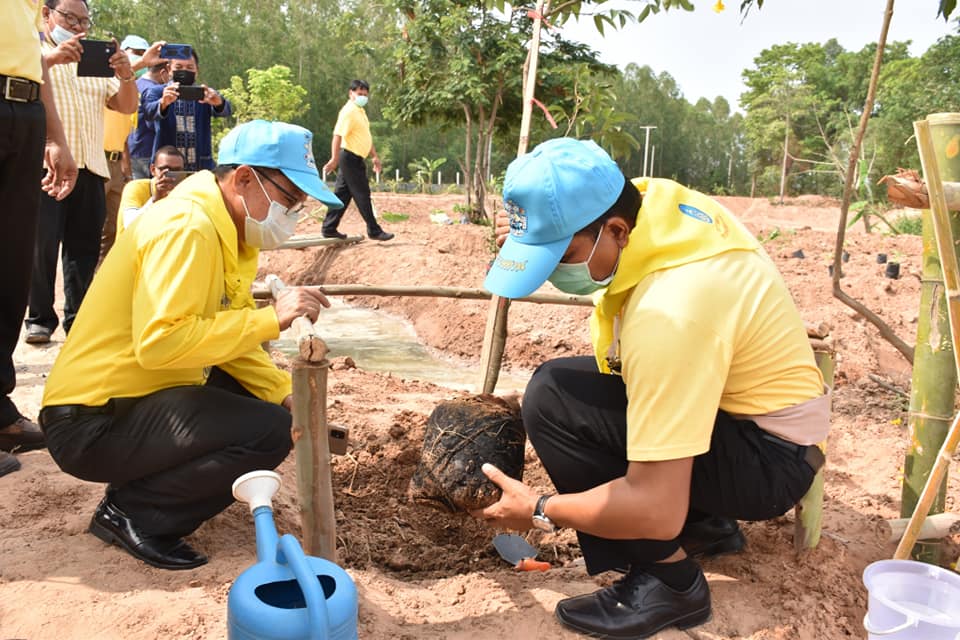 พช.มหาสารคาม ผสานภาคีเครือข่าย ขับเคลื่อนโครงการสารสนเทศตำบลต้นแบบเพื่อการพัฒนาคุณภาพชีวิต แก้โจทย์ปัญหาชุมชนสู่ทางรอดวิกฤตโควิด-19