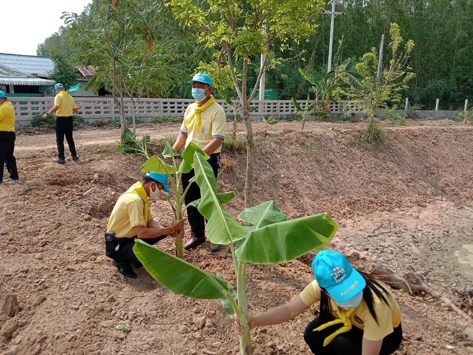 พช.มหาสารคาม ผสานภาคีเครือข่าย ขับเคลื่อนโครงการสารสนเทศตำบลต้นแบบเพื่อการพัฒนาคุณภาพชีวิต แก้โจทย์ปัญหาชุมชนสู่ทางรอดวิกฤตโควิด-19