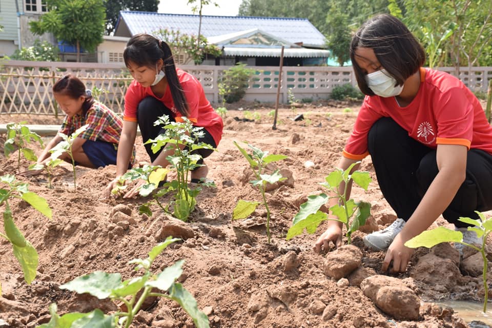 พช.มหาสารคาม ผสานภาคีเครือข่าย ขับเคลื่อนโครงการสารสนเทศตำบลต้นแบบเพื่อการพัฒนาคุณภาพชีวิต แก้โจทย์ปัญหาชุมชนสู่ทางรอดวิกฤตโควิด-19