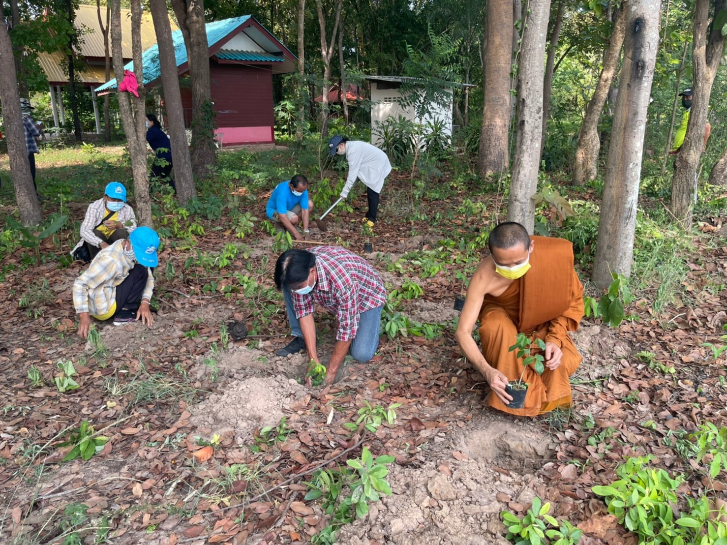 พช.มหาสารคาม​ พร้อมใจจัดกิจกรรมโครงการปลูกต้นไม้และ ปลูกป่าเฉลิมพระเกียรติ เนื่องในโอกาสมหามงคลพระราชพิธีบรมราชาภิเษก ภายใต้ชื่อ “รวมใจไทย ปลูกต้นไม้เพื่อแผ่นดิน” สืบสานสู่ ๑๐๐ ล้านต้น เนื่องในวันต้นไม้ประจำปีของชาติ