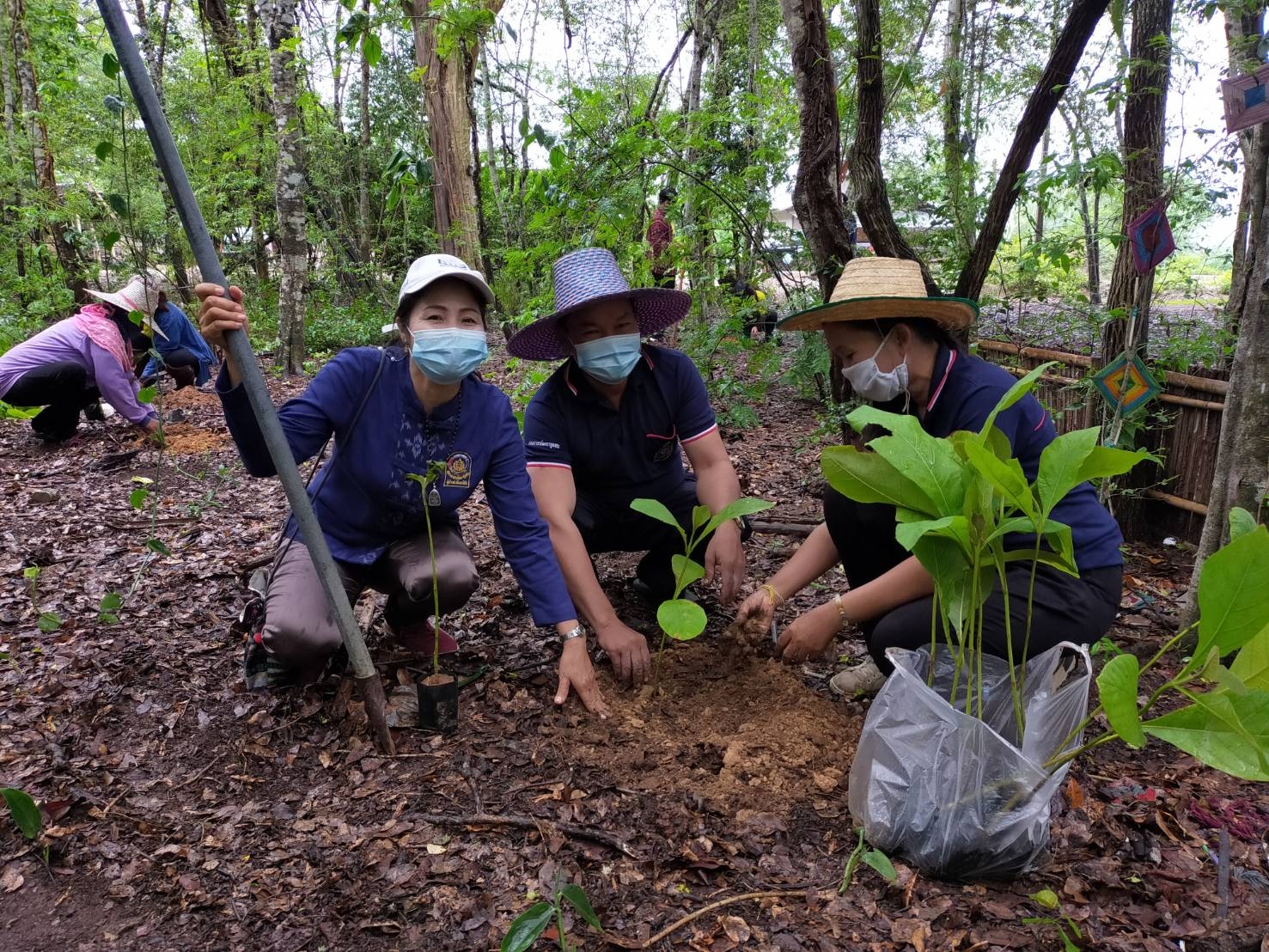 พช.มหาสารคาม​ พร้อมใจจัดกิจกรรมโครงการปลูกต้นไม้และ ปลูกป่าเฉลิมพระเกียรติ เนื่องในโอกาสมหามงคลพระราชพิธีบรมราชาภิเษก ภายใต้ชื่อ “รวมใจไทย ปลูกต้นไม้เพื่อแผ่นดิน” สืบสานสู่ ๑๐๐ ล้านต้น เนื่องในวันต้นไม้ประจำปีของชาติ