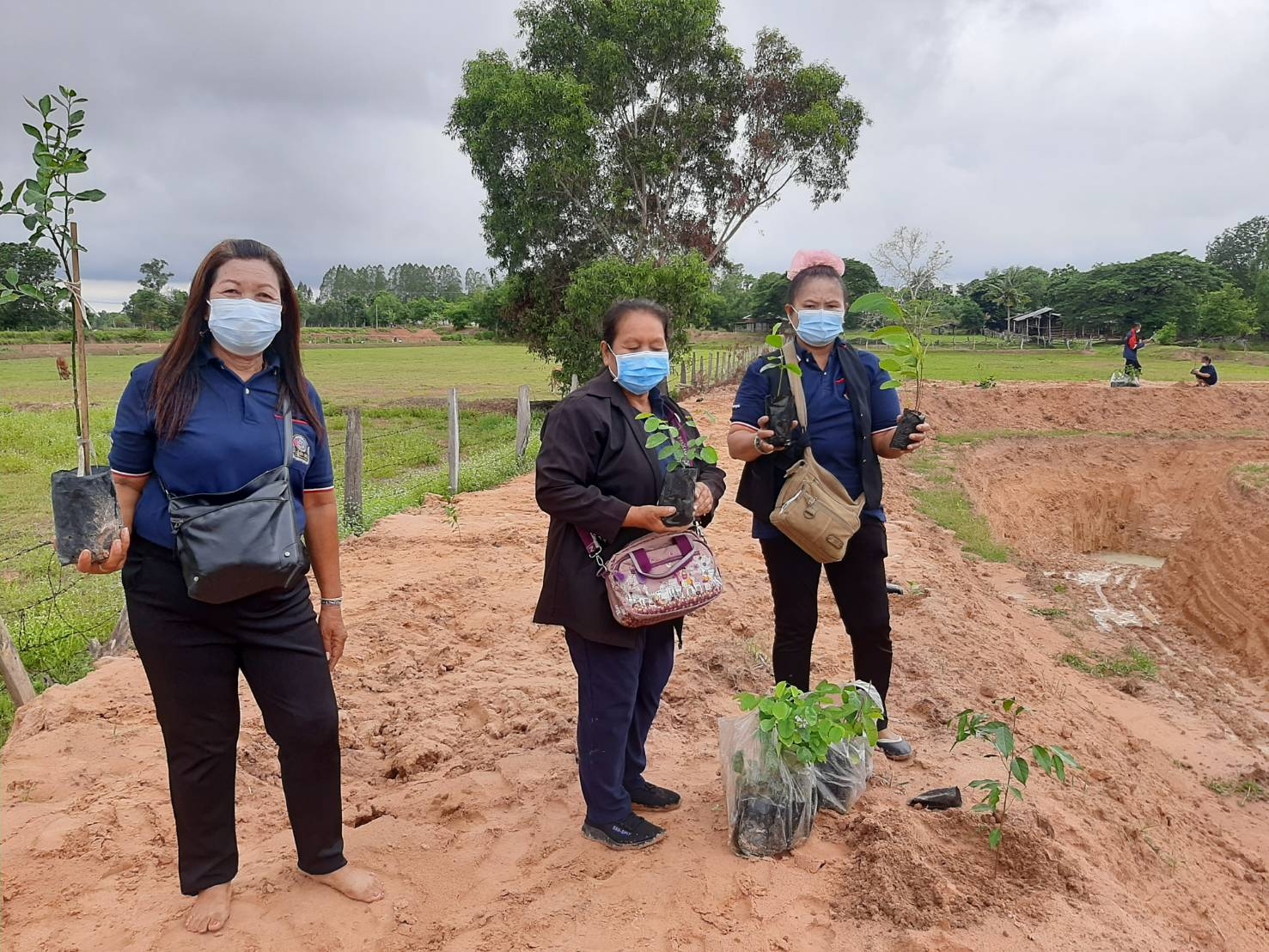 พช.มหาสารคาม​ พร้อมใจจัดกิจกรรมโครงการปลูกต้นไม้และ ปลูกป่าเฉลิมพระเกียรติ เนื่องในโอกาสมหามงคลพระราชพิธีบรมราชาภิเษก ภายใต้ชื่อ “รวมใจไทย ปลูกต้นไม้เพื่อแผ่นดิน” สืบสานสู่ ๑๐๐ ล้านต้น เนื่องในวันต้นไม้ประจำปีของชาติ