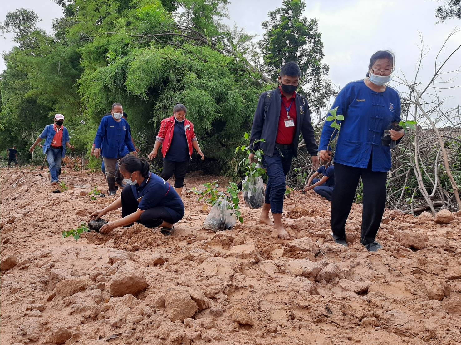 พช.มหาสารคาม​ พร้อมใจจัดกิจกรรมโครงการปลูกต้นไม้และ ปลูกป่าเฉลิมพระเกียรติ เนื่องในโอกาสมหามงคลพระราชพิธีบรมราชาภิเษก ภายใต้ชื่อ “รวมใจไทย ปลูกต้นไม้เพื่อแผ่นดิน” สืบสานสู่ ๑๐๐ ล้านต้น เนื่องในวันต้นไม้ประจำปีของชาติ