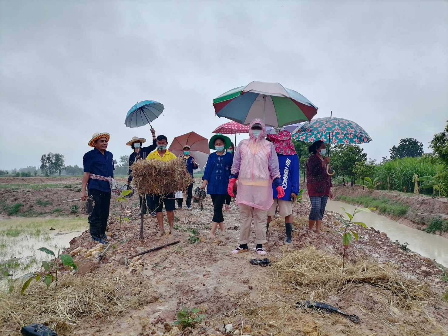 พช.มหาสารคาม​ พร้อมใจจัดกิจกรรมโครงการปลูกต้นไม้และ ปลูกป่าเฉลิมพระเกียรติ เนื่องในโอกาสมหามงคลพระราชพิธีบรมราชาภิเษก ภายใต้ชื่อ “รวมใจไทย ปลูกต้นไม้เพื่อแผ่นดิน” สืบสานสู่ ๑๐๐ ล้านต้น เนื่องในวันต้นไม้ประจำปีของชาติ