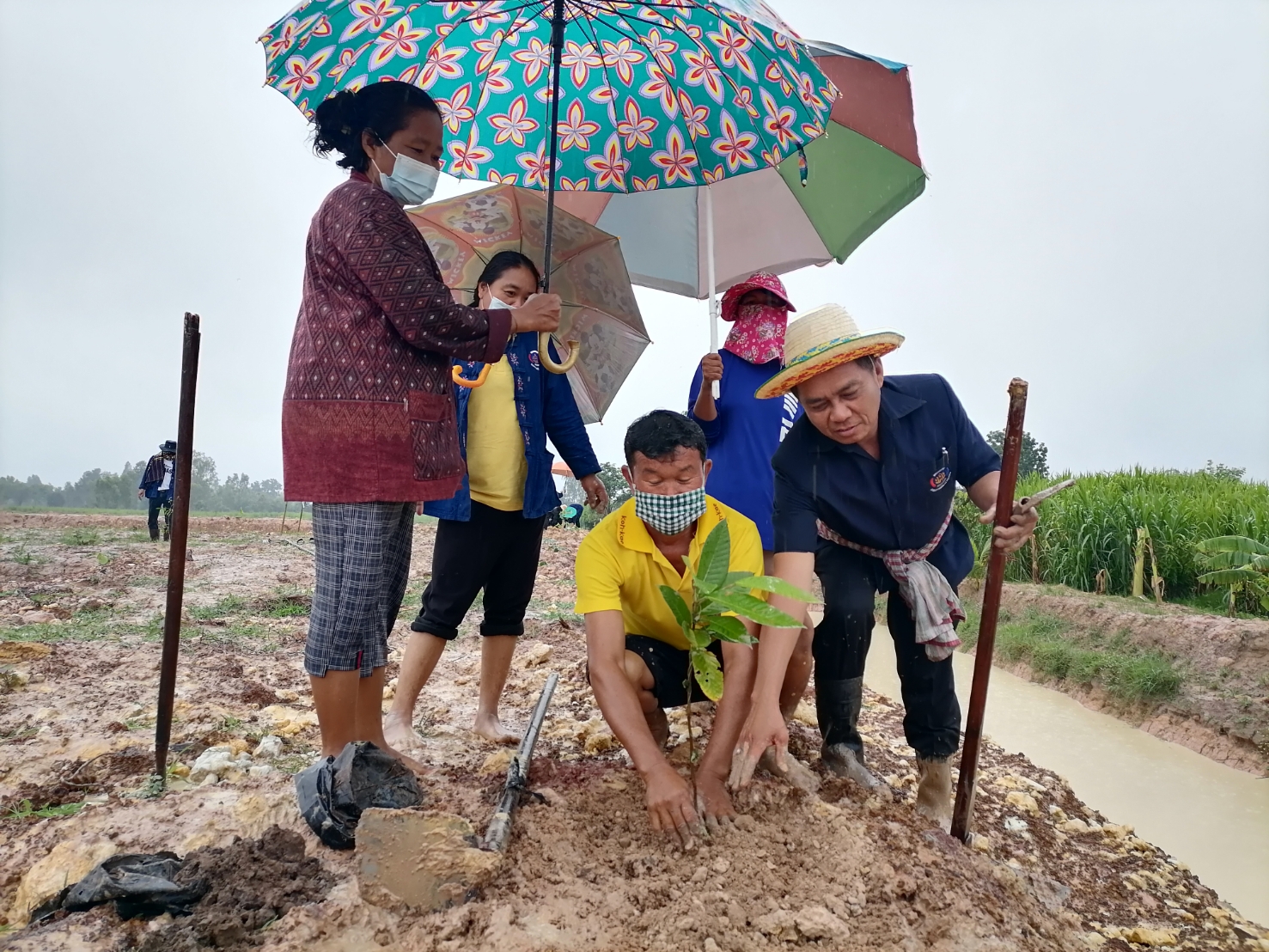พช.มหาสารคาม​ พร้อมใจจัดกิจกรรมโครงการปลูกต้นไม้และ ปลูกป่าเฉลิมพระเกียรติ เนื่องในโอกาสมหามงคลพระราชพิธีบรมราชาภิเษก ภายใต้ชื่อ “รวมใจไทย ปลูกต้นไม้เพื่อแผ่นดิน” สืบสานสู่ ๑๐๐ ล้านต้น เนื่องในวันต้นไม้ประจำปีของชาติ