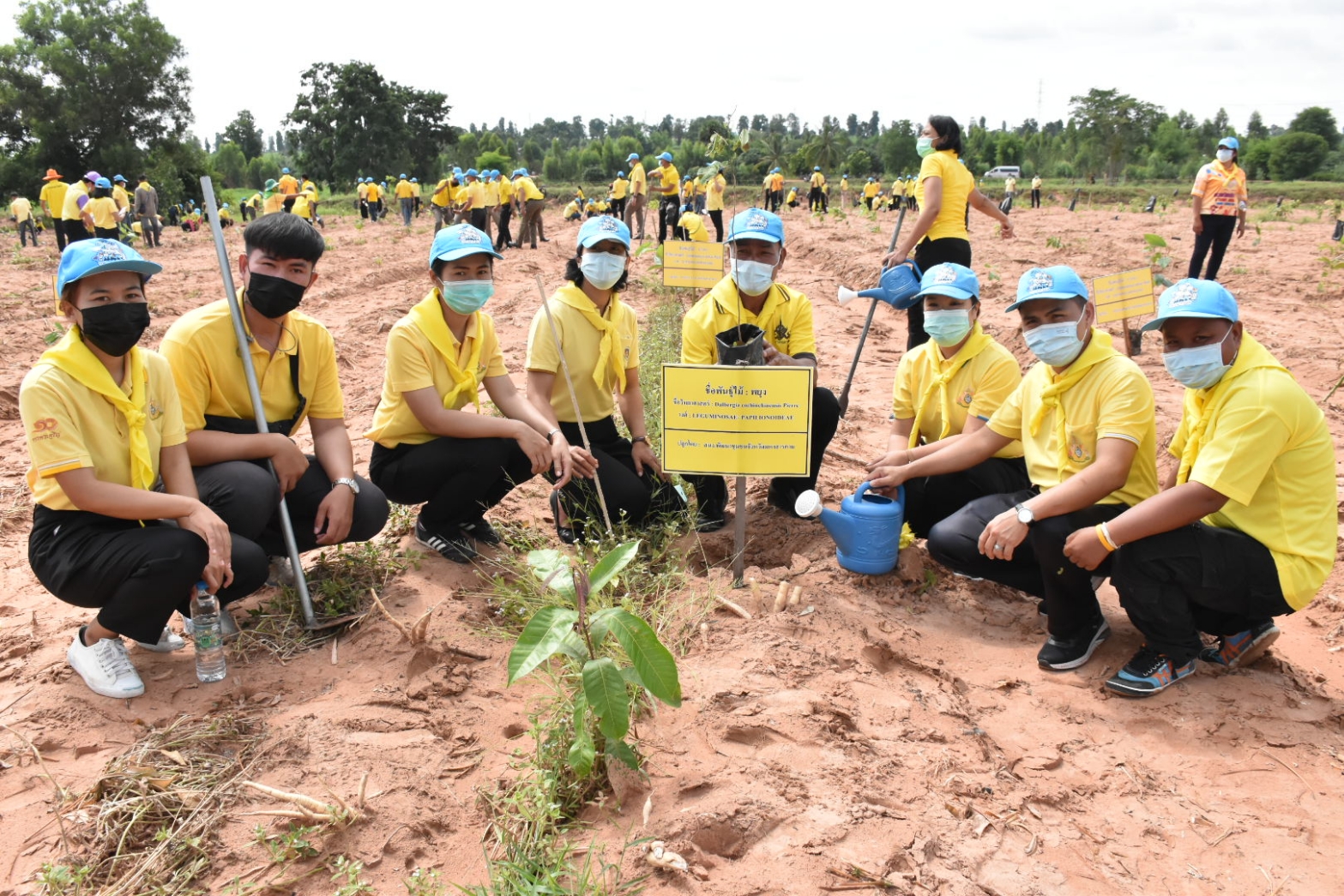 พช.มหาสารคาม รวมทีมเข้าร่วมโครงการปลูกป่า​ และป้องกันไฟป่า​ จังหวัดมหาสารคาม