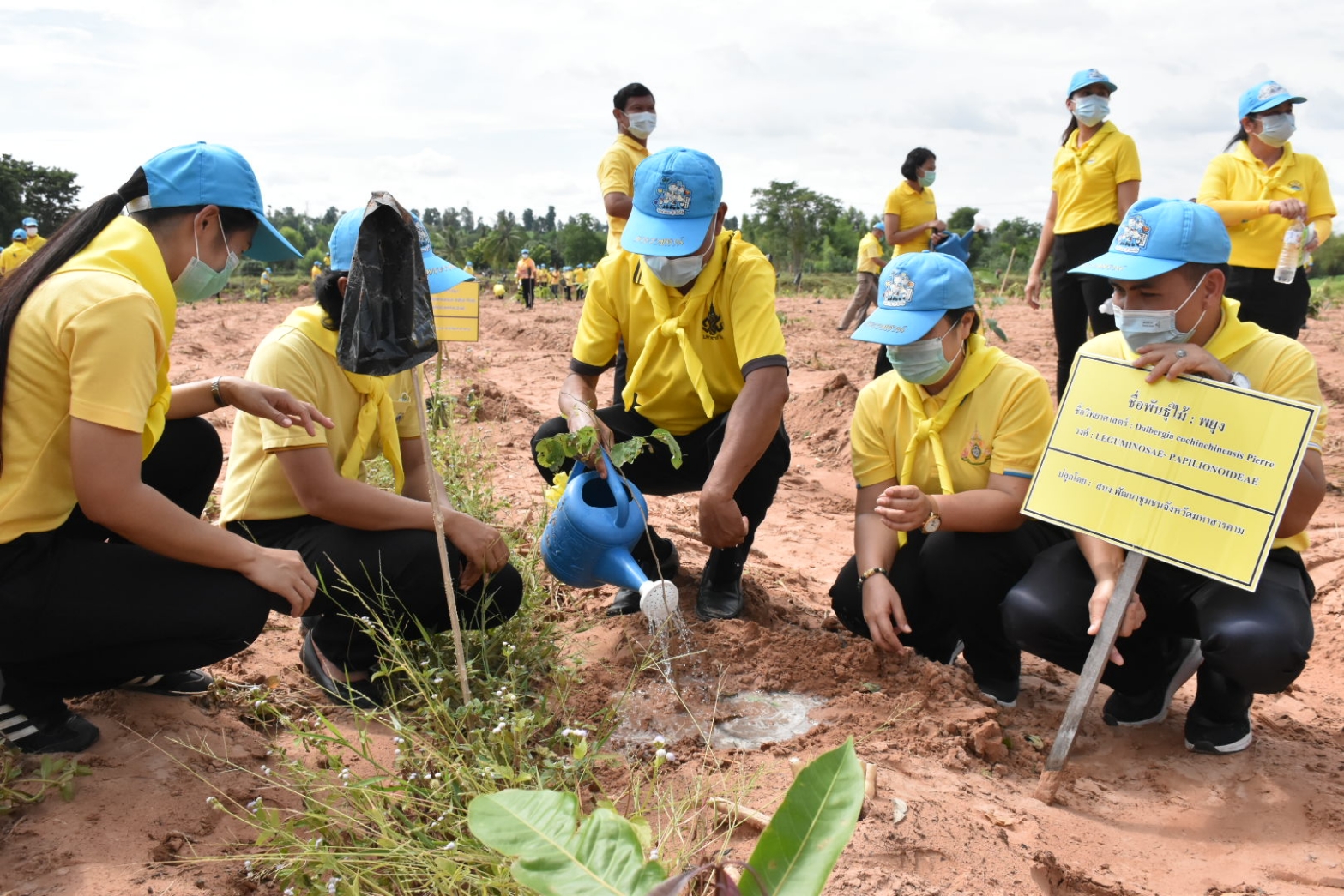 พช.มหาสารคาม รวมทีมเข้าร่วมโครงการปลูกป่า​ และป้องกันไฟป่า​ จังหวัดมหาสารคาม