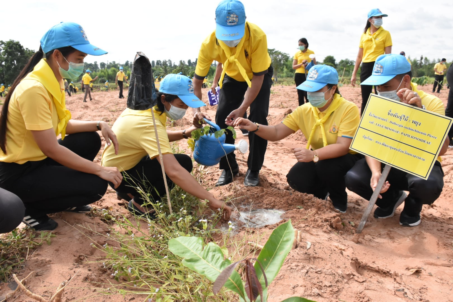 พช.มหาสารคาม รวมทีมเข้าร่วมโครงการปลูกป่า​ และป้องกันไฟป่า​ จังหวัดมหาสารคาม