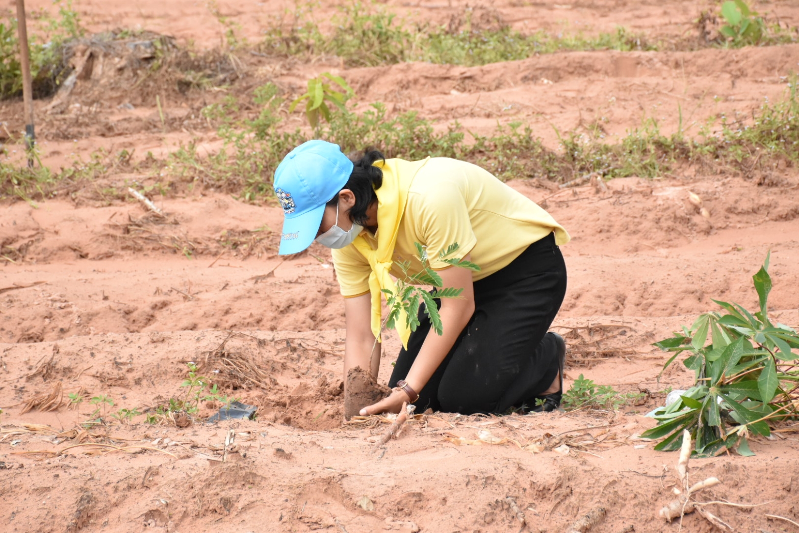 พช.มหาสารคาม รวมทีมเข้าร่วมโครงการปลูกป่า​ และป้องกันไฟป่า​ จังหวัดมหาสารคาม
