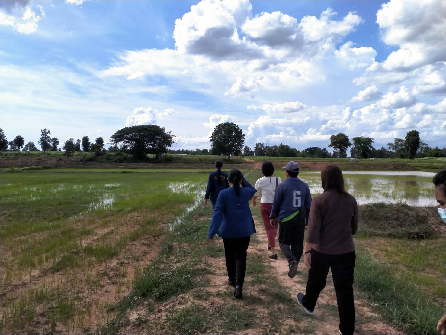 พัฒนาการจังหวัดมหาสารคาม ลงพื้นที่ตรวจเยี่ยมและติดตามความก้าวหน้าโครงการพัฒนาพื้นที่ต้นแบบการพัฒนาคุณภาพชีวิตตามหลักทฤษฎีใหม่ประยุกต์สู่ “โคก หนอง นา พช.”