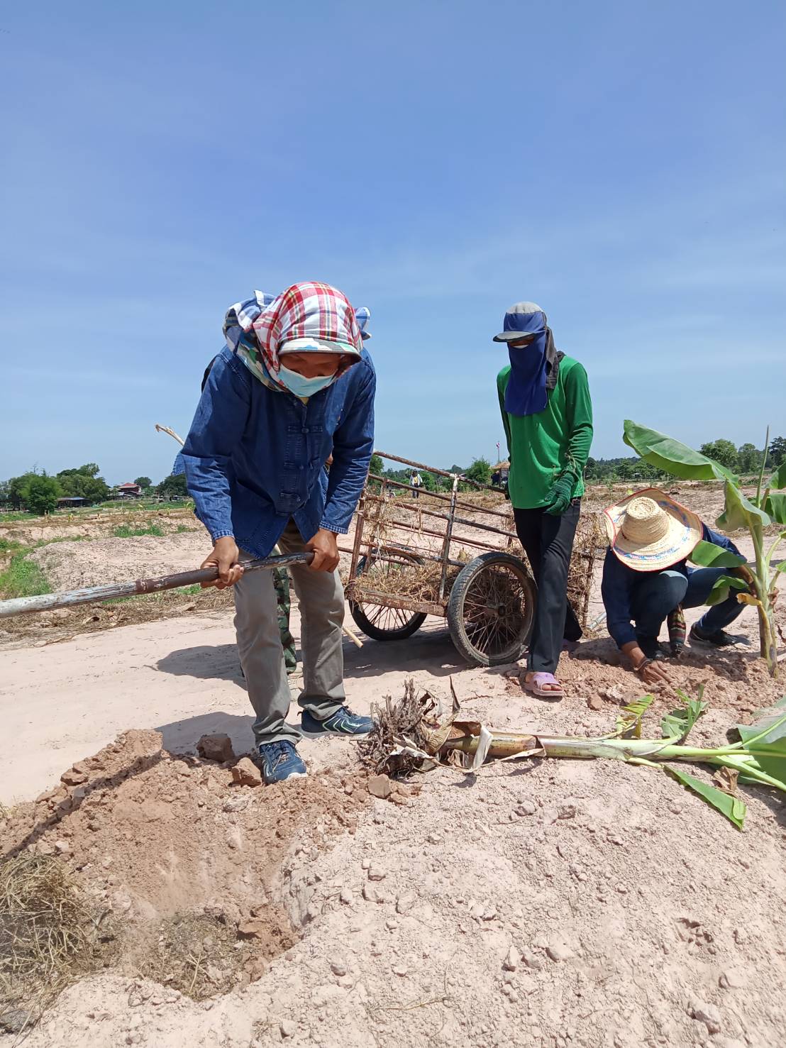 สพอ.วาปีปทุม จ.มหาสารคาม จับมือครัวเรือนต้นแบบ “โคก หนอง นา พช.” ร่วม “เอามื้อสามัคคี” พัฒนาพื้นที่สู่ความมั่นคงทางอาหาร