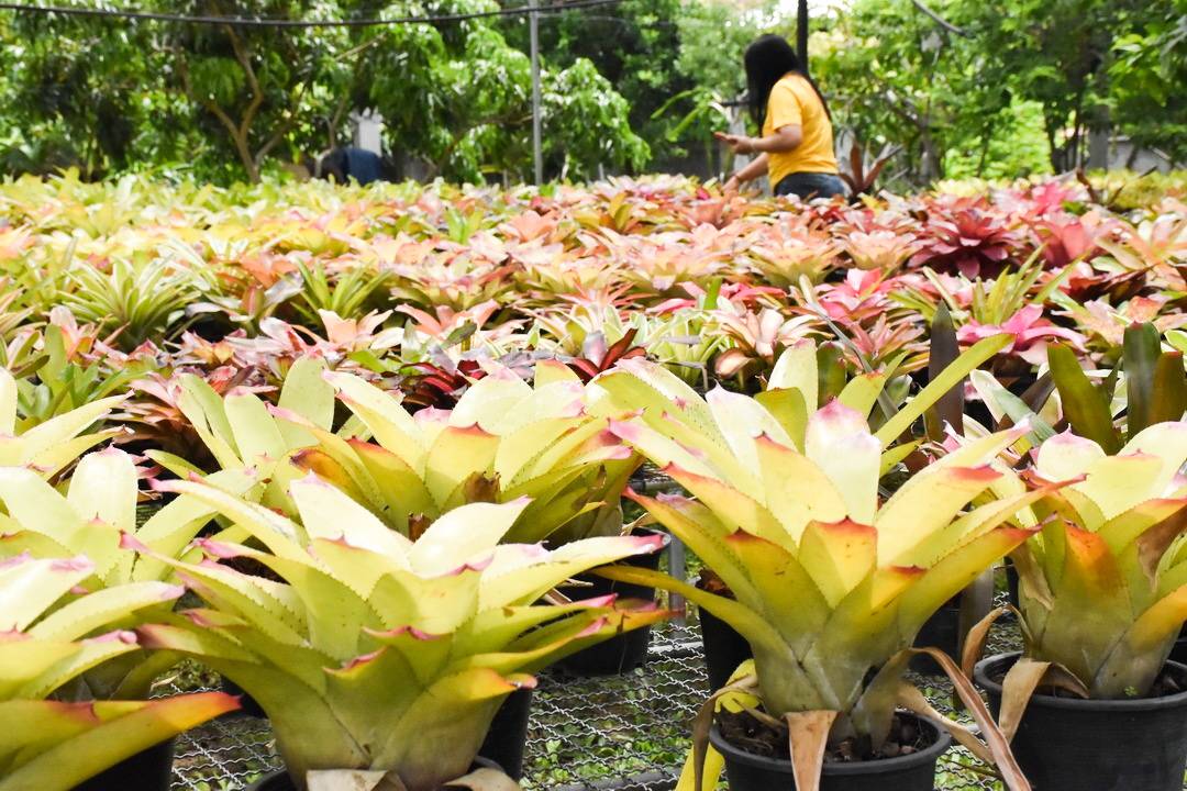 จังหวัดมหาสารคาม ผนึกกำลังส่วนราชการและภาคีพัฒนาร่วมคัดสรรหมู่บ้านเศรษฐกิจพอเพียง “อยู่ เย็น เป็นสุข” ดีเด่น ระดับจังหวัด ประจำปี 2564