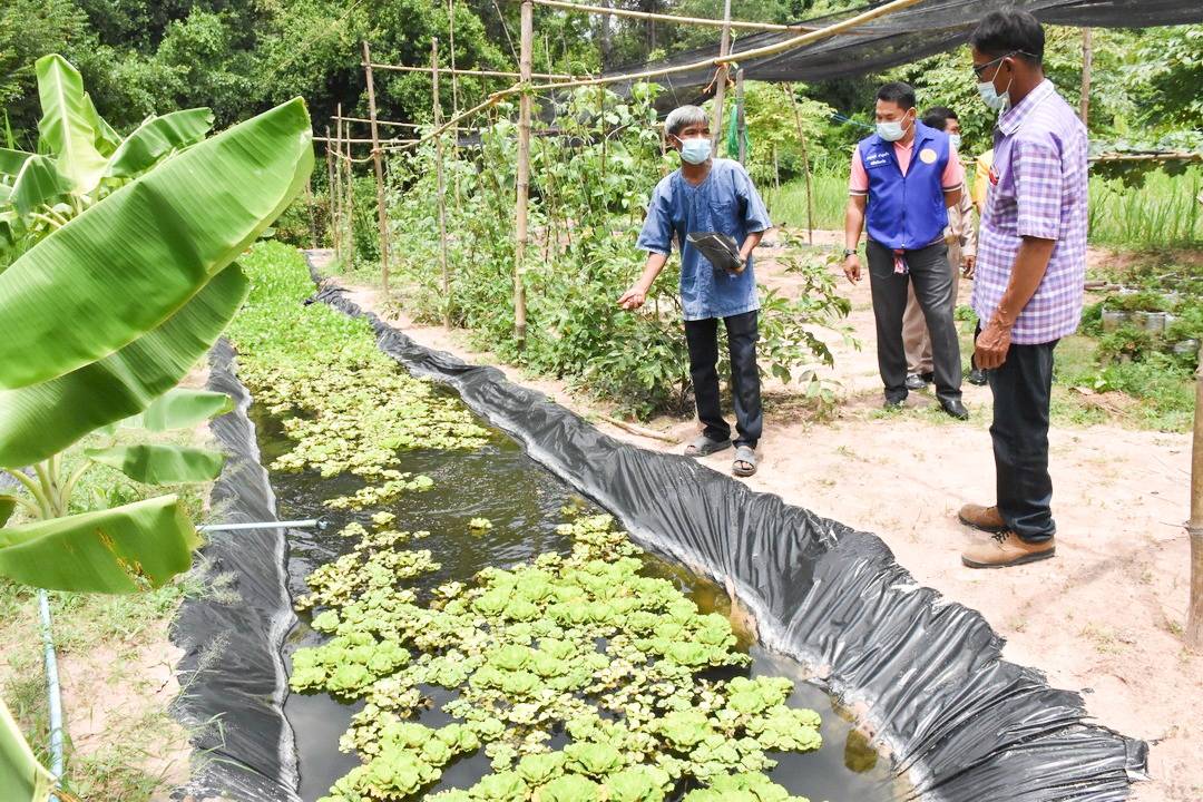 จังหวัดมหาสารคาม ผนึกกำลังส่วนราชการและภาคีพัฒนาร่วมคัดสรรหมู่บ้านเศรษฐกิจพอเพียง “อยู่ เย็น เป็นสุข” ดีเด่น ระดับจังหวัด ประจำปี 2564