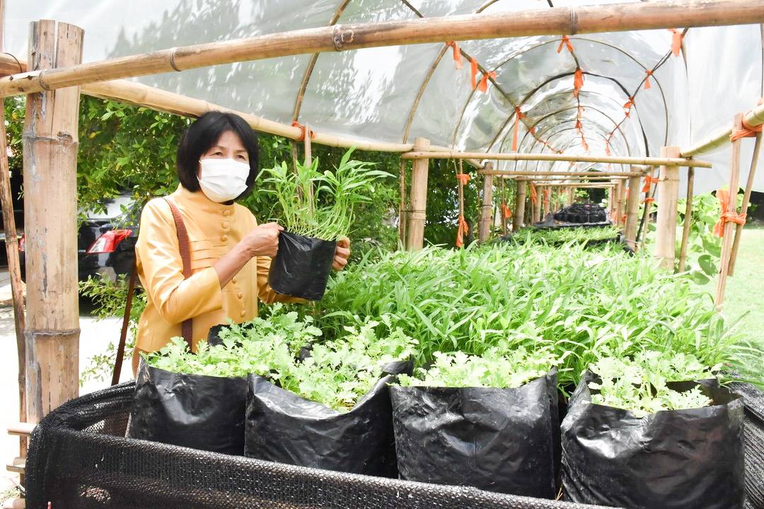 จังหวัดมหาสารคาม ลงพื้นที่ประกวดหมู่บ้านเศรษฐกิจพอเพียง “อยู่เย็น เป็นสุข” ดีเด่น ระดับจังหวัด ประจำปี 2564