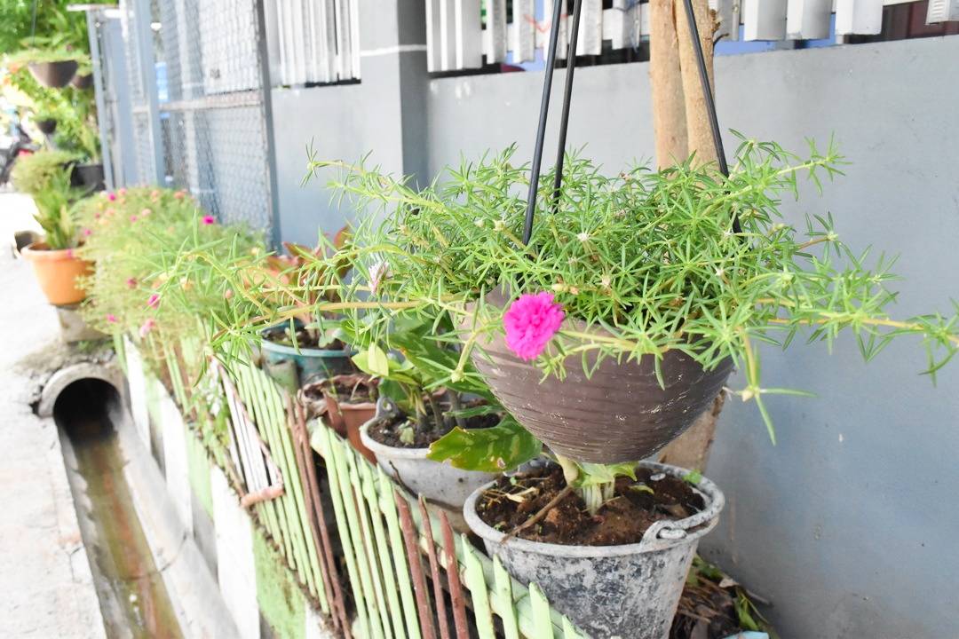 จังหวัดมหาสารคาม ลงพื้นที่ประกวดหมู่บ้านเศรษฐกิจพอเพียง “อยู่เย็น เป็นสุข” ดีเด่น ระดับจังหวัด ประจำปี 2564