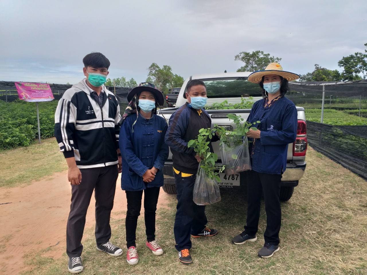 พช.มหาสารคาม ต่อยอด “โคก หนอง นา พช.”  ประสานขอรับพันธุ์ไม้ 19,520 ต้น สู่แปลงครัวเรือนเป้าหมาย