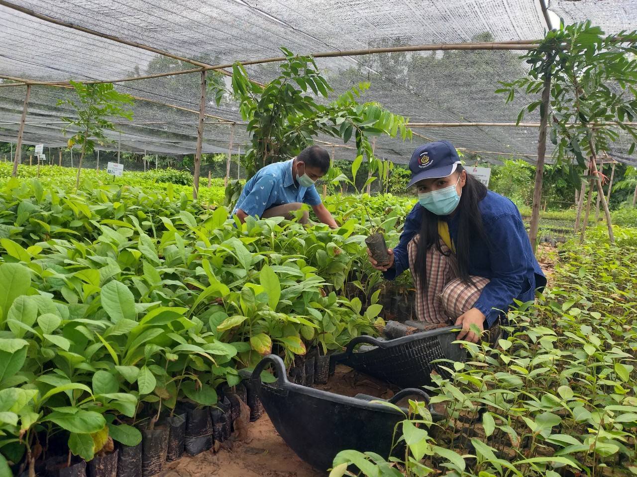 พช.มหาสารคาม ต่อยอด “โคก หนอง นา พช.”  ประสานขอรับพันธุ์ไม้ 19,520 ต้น สู่แปลงครัวเรือนเป้าหมาย