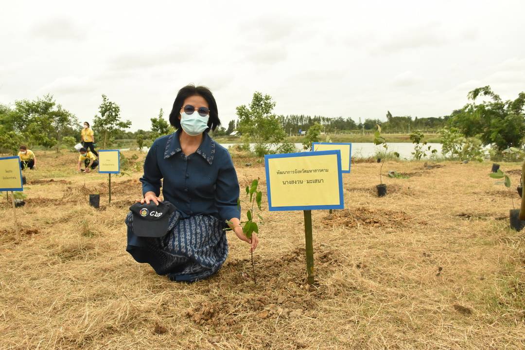 บริษัท ประชารัฐรักสามัคคีมหาสารคามฯ บูรณาการทำงานทุกภาคส่วน จัดกิจกรรม “ปลูกป่าปล่อยปลา” เฉลิมพระเกียรติเนื่องในโอกาสมหามงคลเฉลิมพระชนมพรรษา พระบาทสมเด็จพระปรเมนทรรามาธิบดีศรีสินทร มหาวชิราลงกรณพระวชิรเกล้าเจ้าอยู่หัว