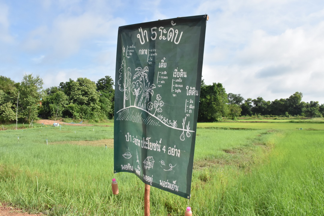 พ่อเมืองมหาสารคาม นำประชาชนจิตอาสาจัดกิจกรรม “จิตอาสาพัฒนาชุมชนเอามื้อสามัคคี” เพื่อเฉลิมพระเกียรติเนื่องในโอกาสมหามงคลเฉลิมพระชนมพรรษา พระบาทสมเด็จพระปรเมนทรรามาธิบดีศรีสินทรมหาวชิราลงกรณ พระวชิรเกล้าเจ้าอยู่หัว
